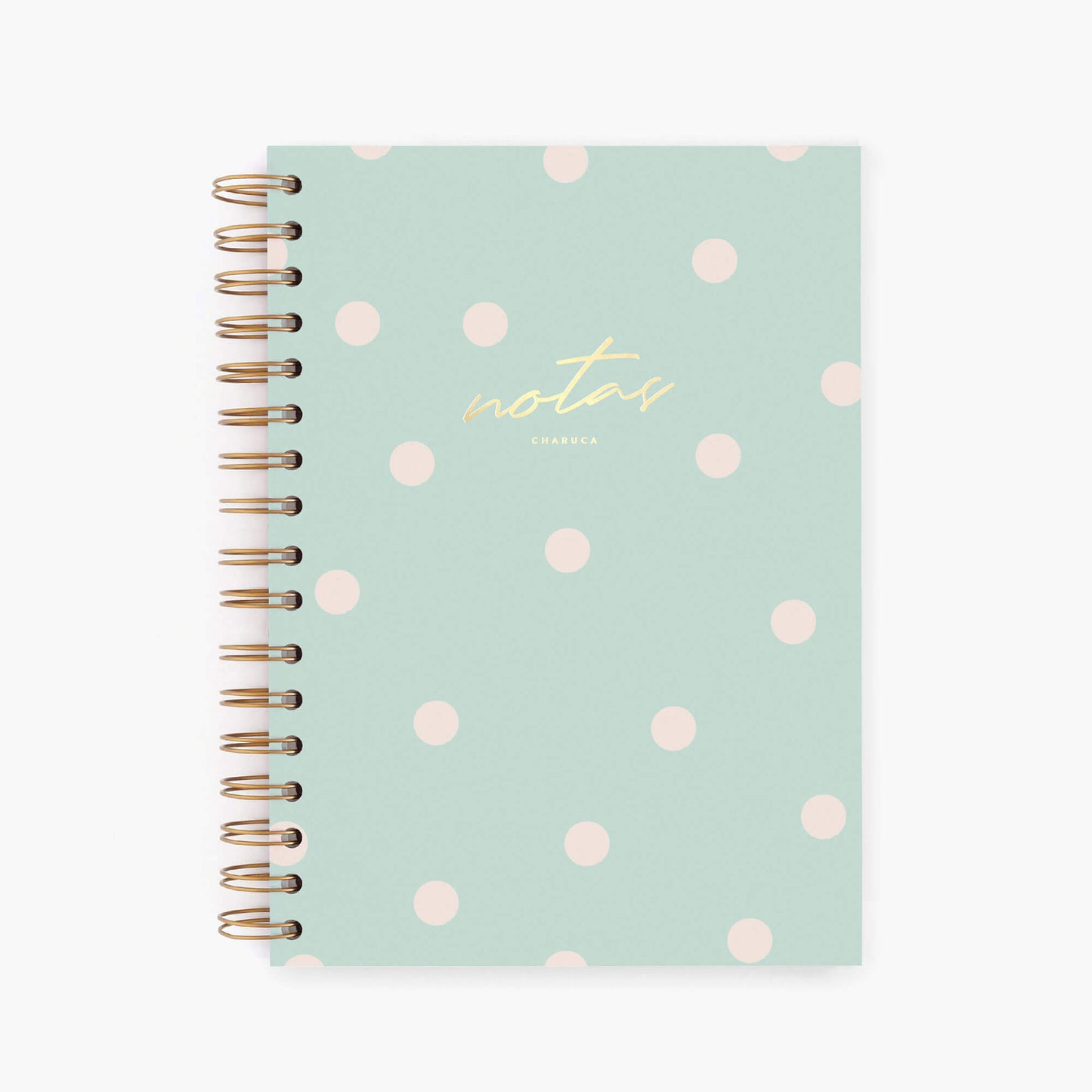Cuaderno mediano. Mint.