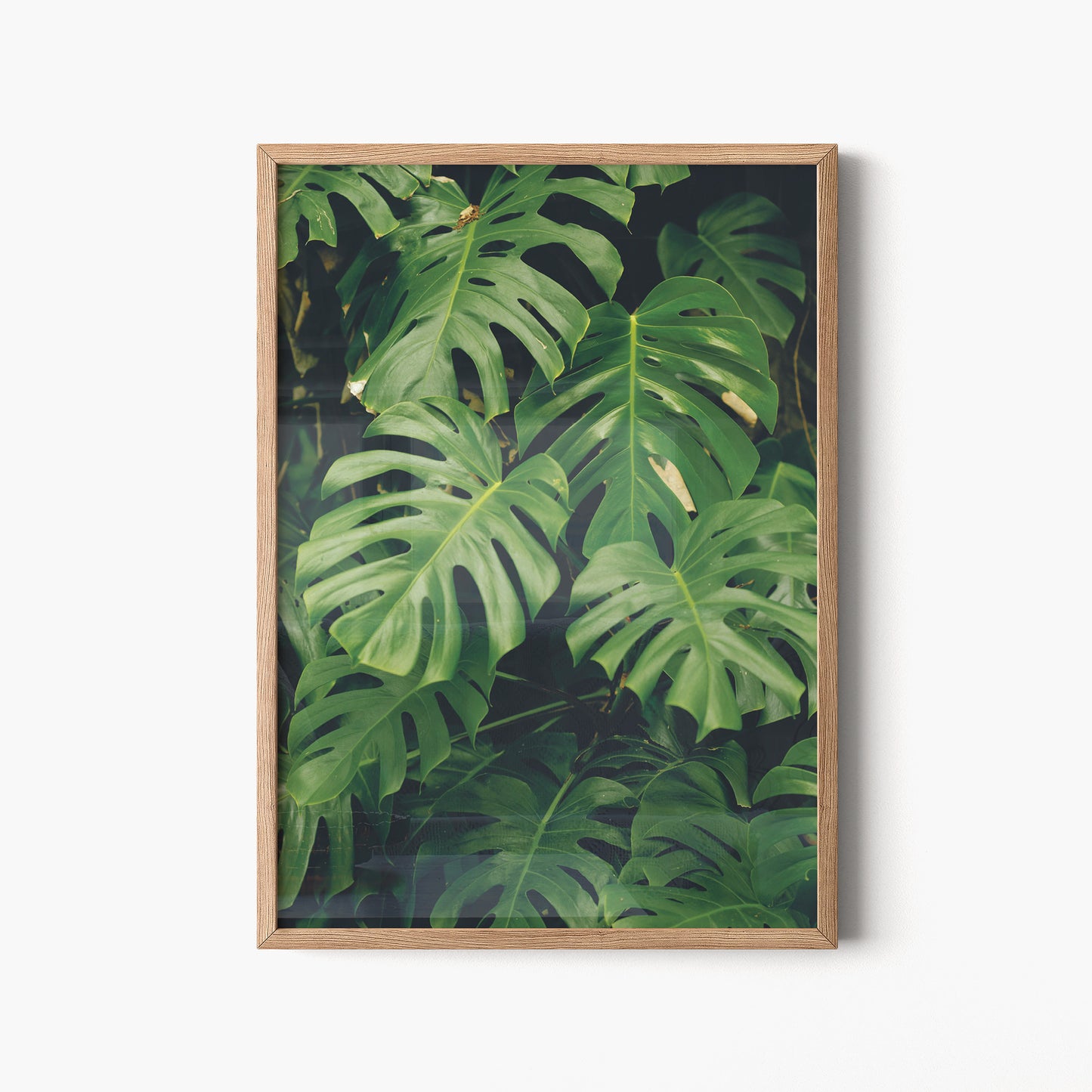 Madre naturaleza. Póster.