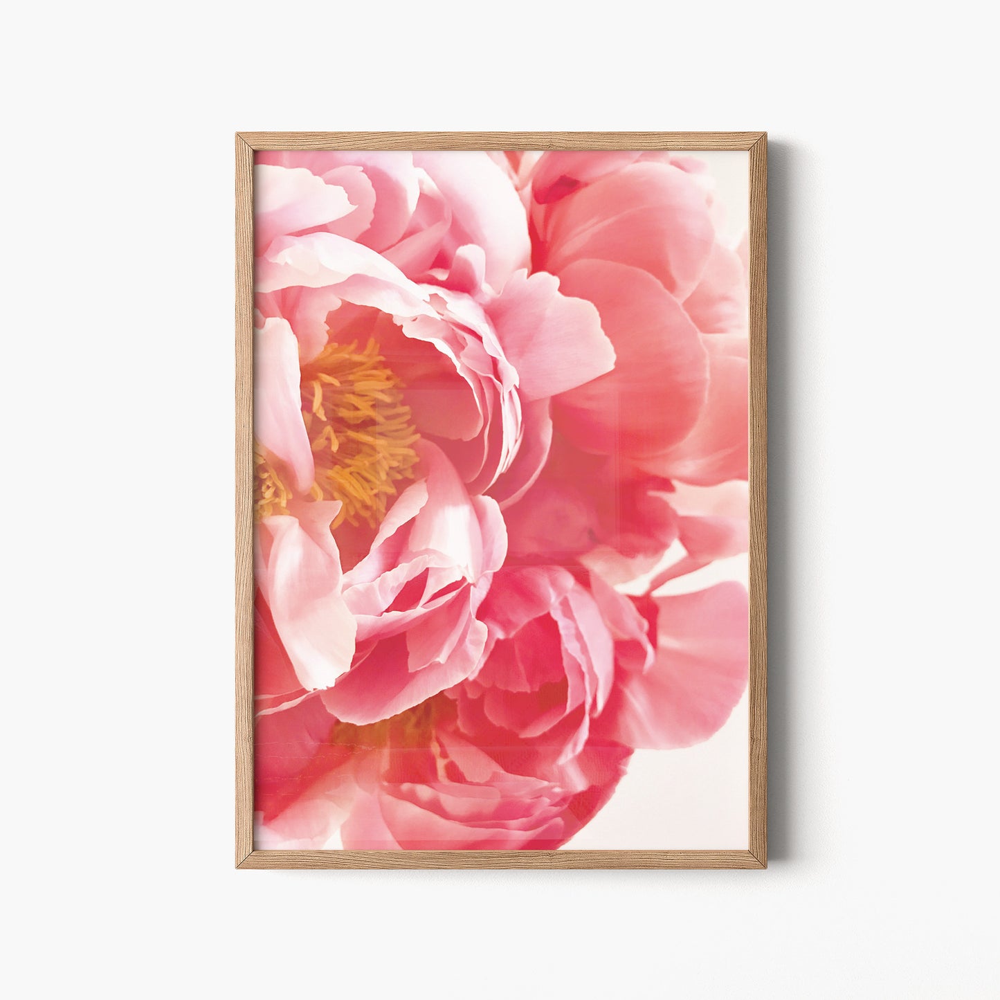 Peony. Póster.