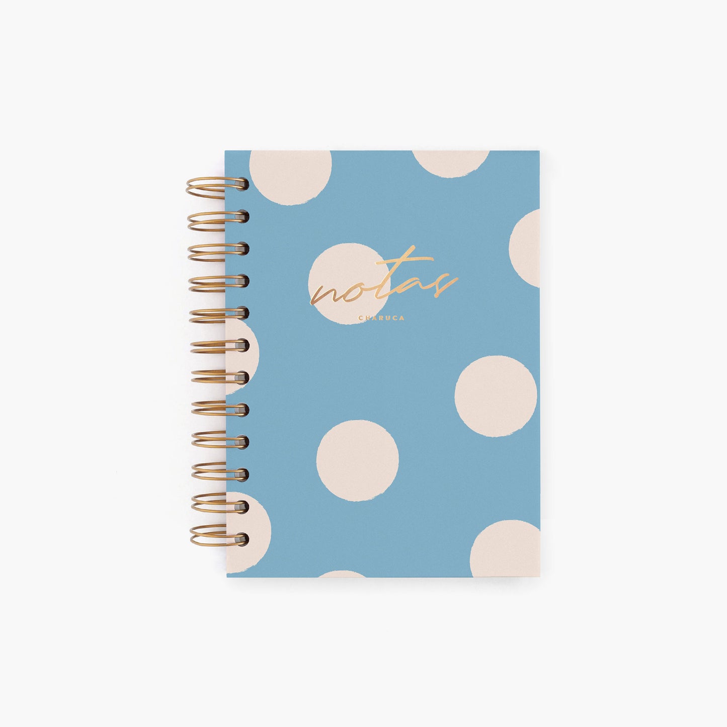 Cuaderno mini. Elegant blue.