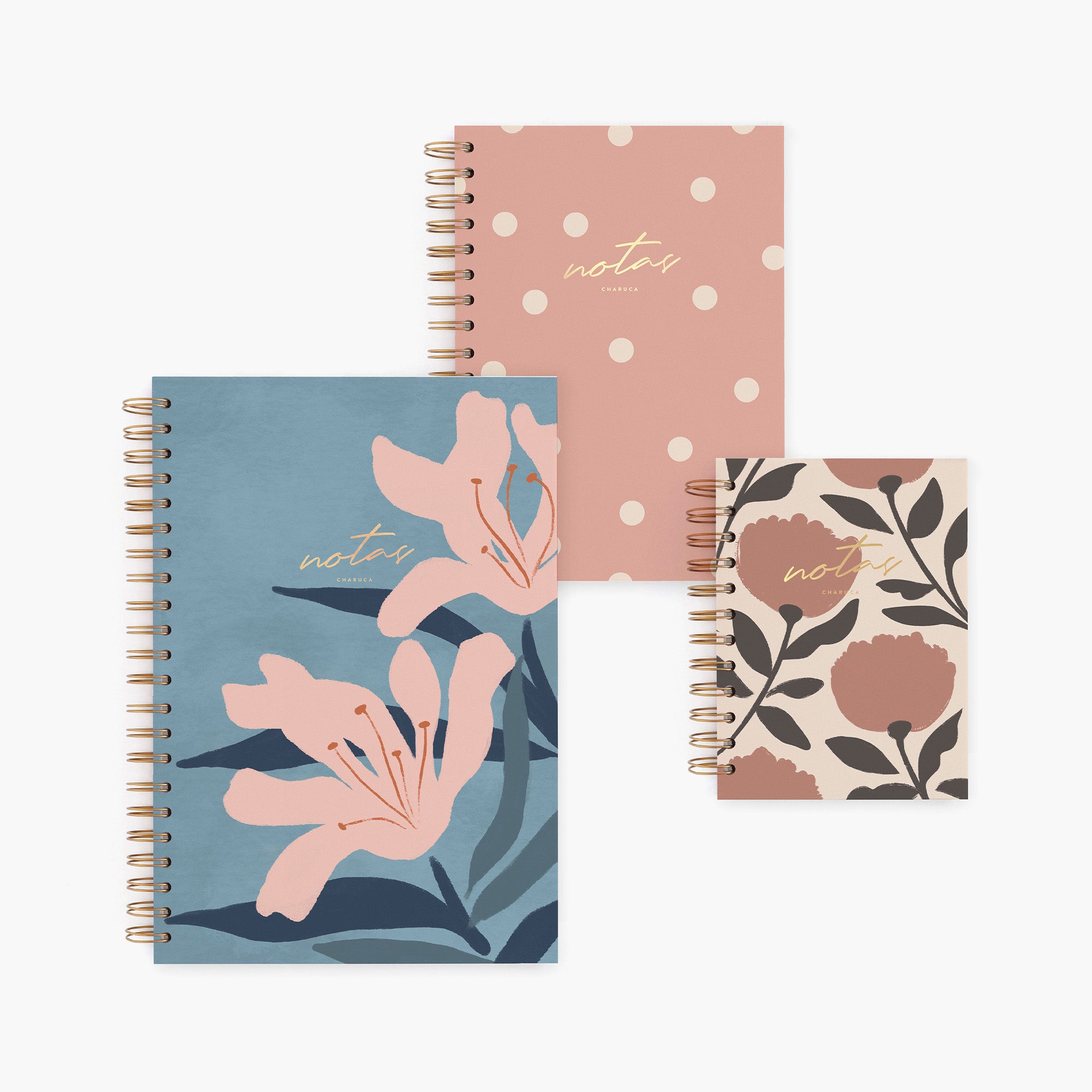 Pack de 3 cuadernos mix.