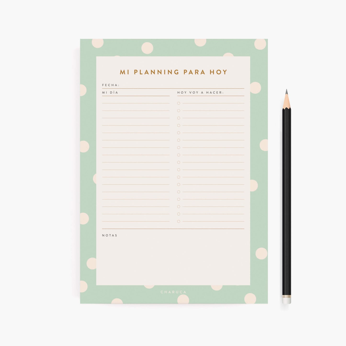 Planificador diario. Mint.
