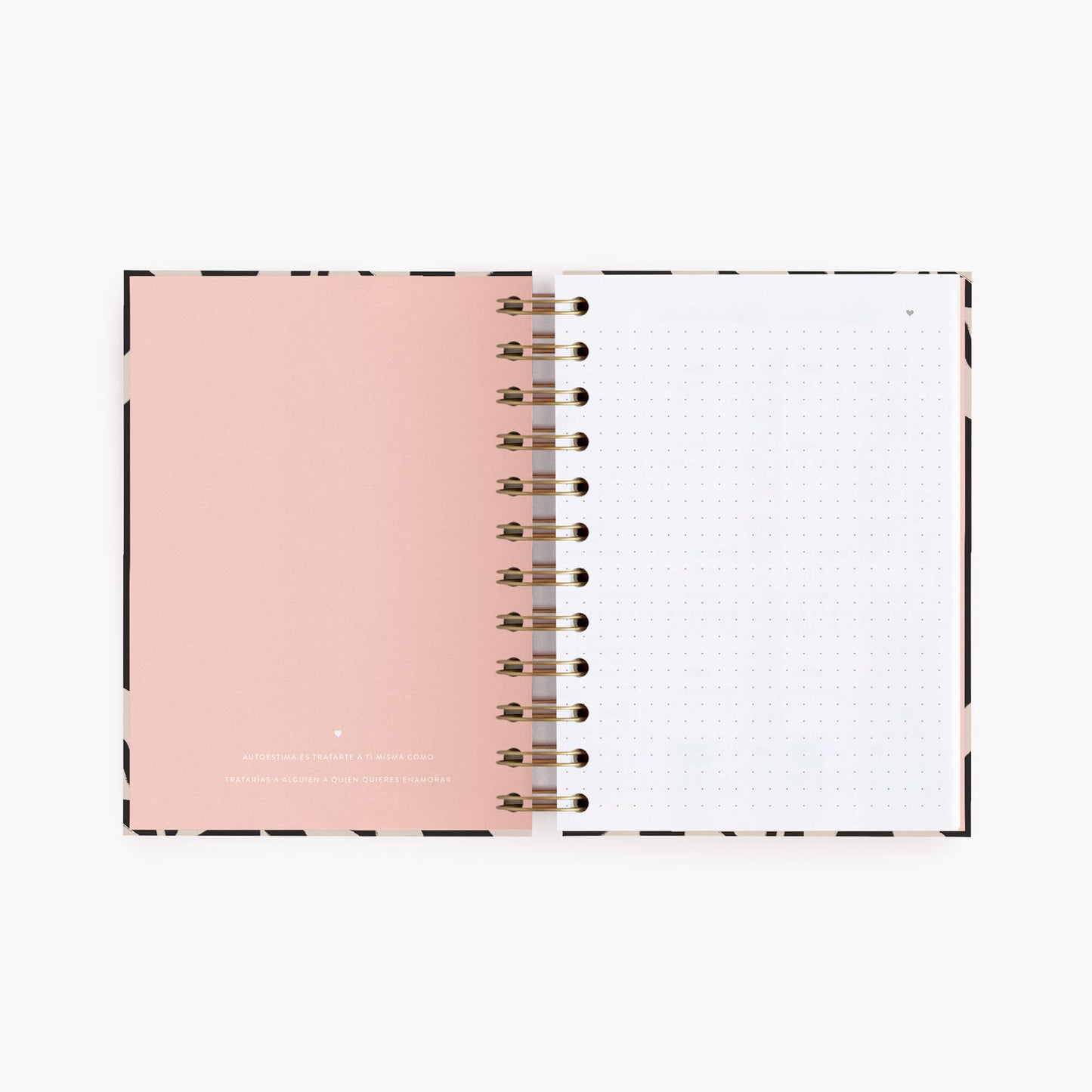 Cuaderno mini. Botánicals.