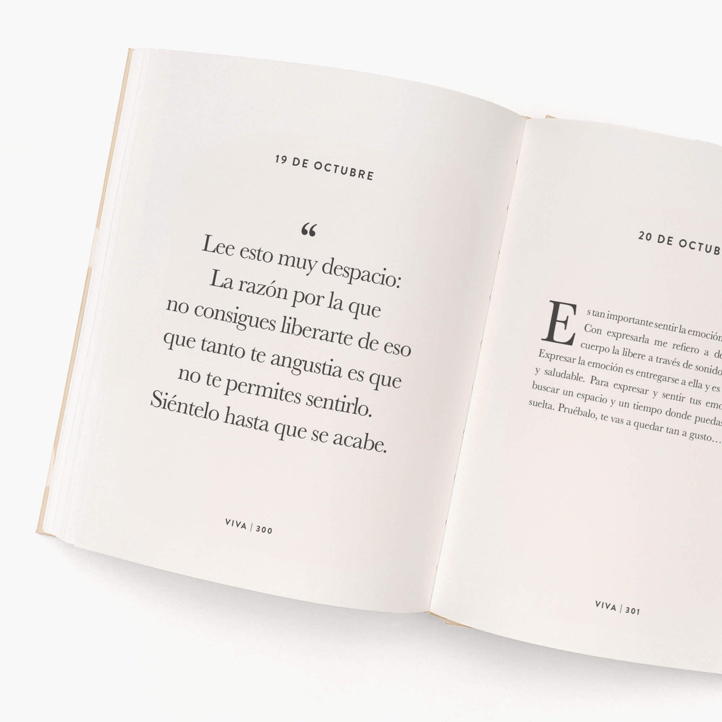 Libro. VIVA. Un mensaje para cada día.