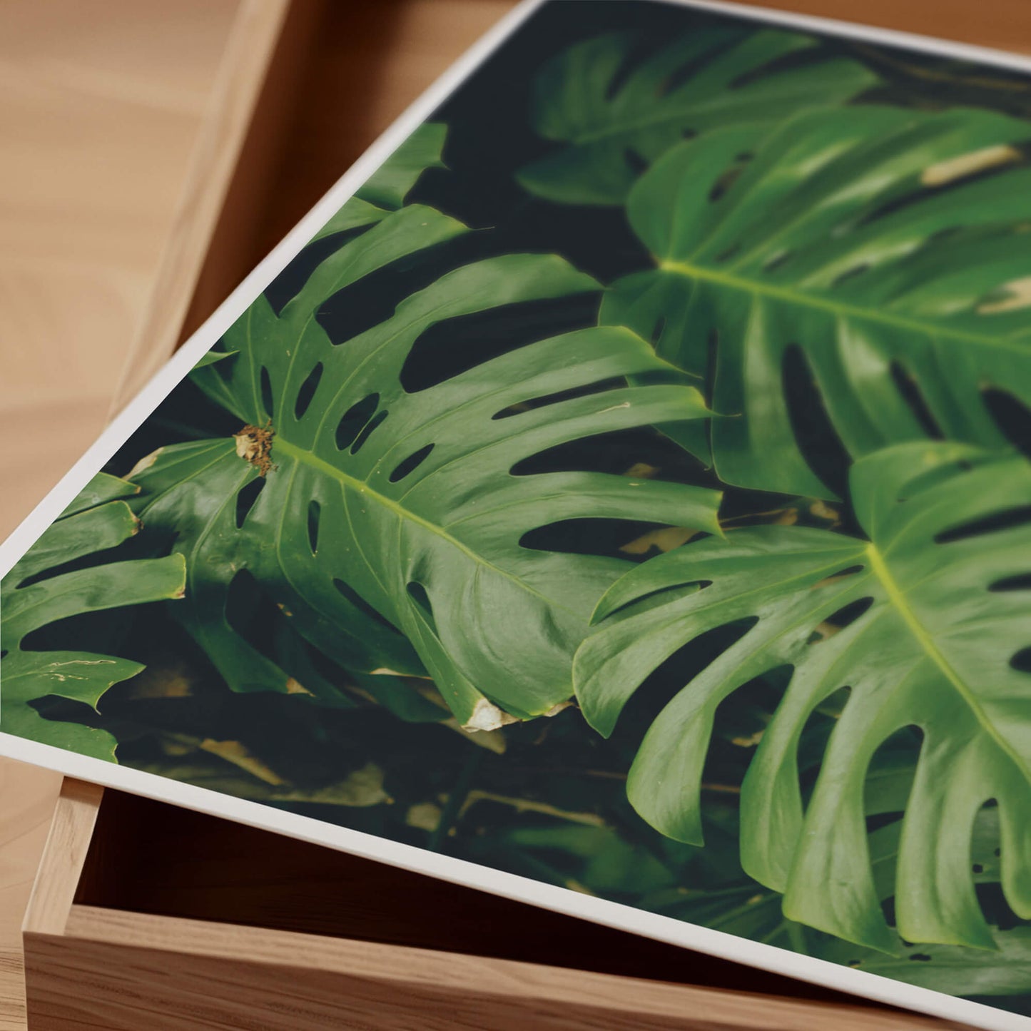 Madre naturaleza. Póster.