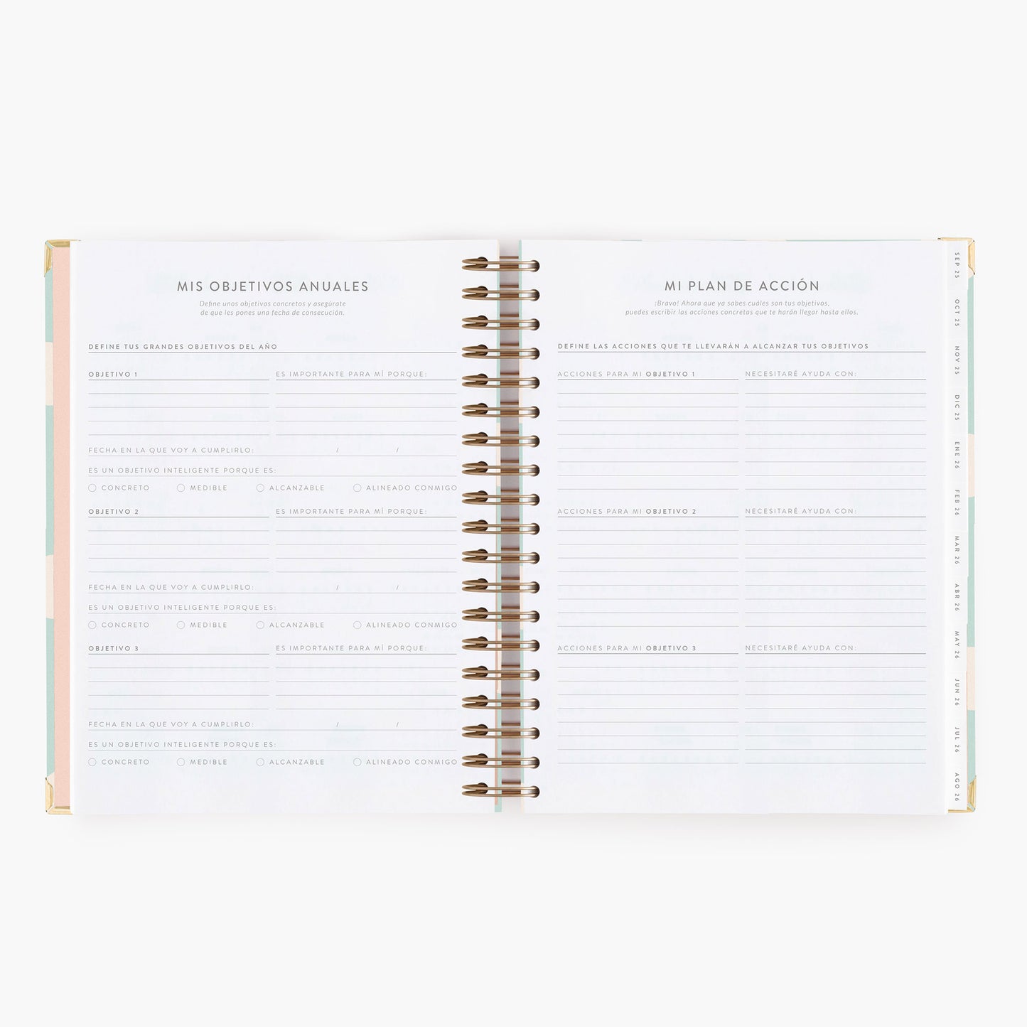 Agenda diaria 25-26. Mint. Grande.