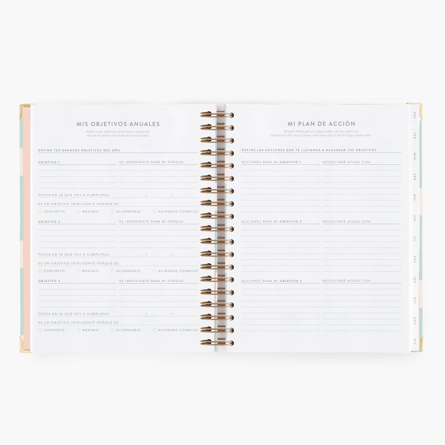 Agenda diaria 2026. Mint. Grande.