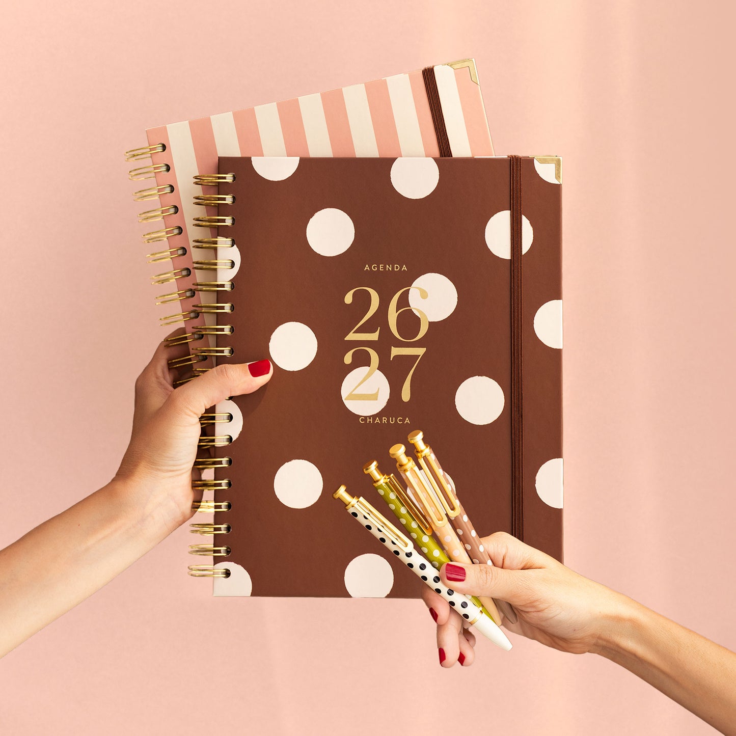 Boli Charuca de regalo con tu agenda