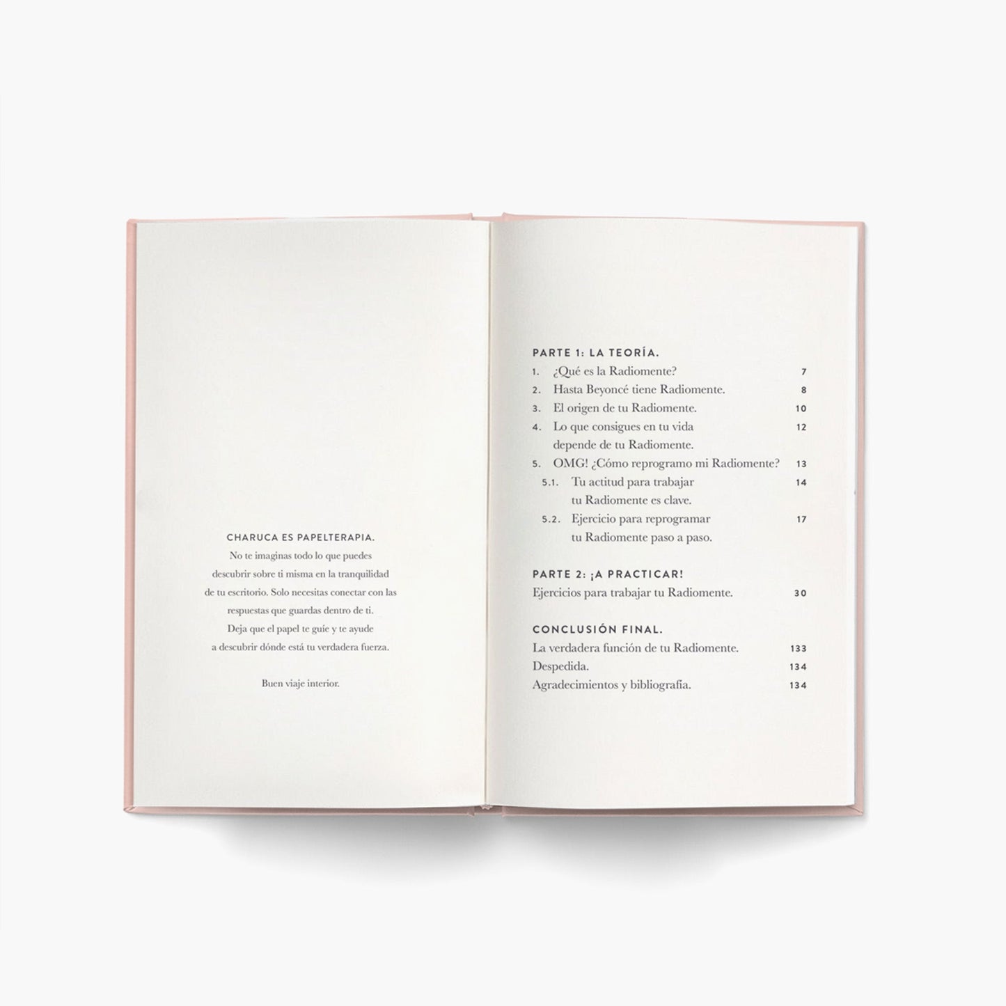 Bye-bye Radiomente. Workbook.
