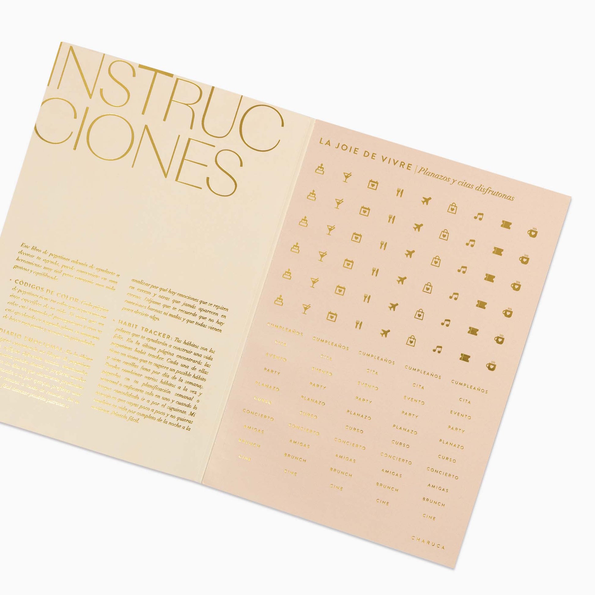 Libro de pegatinas Pink&Gold.