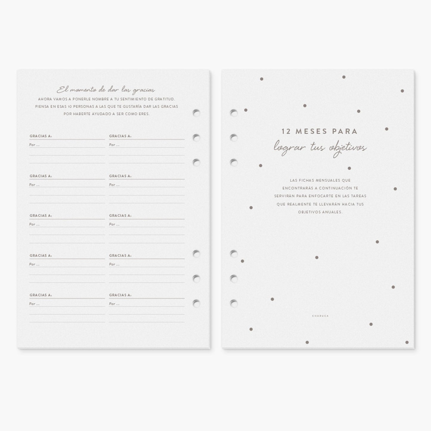 Recambio de papelterapia para planner A5.