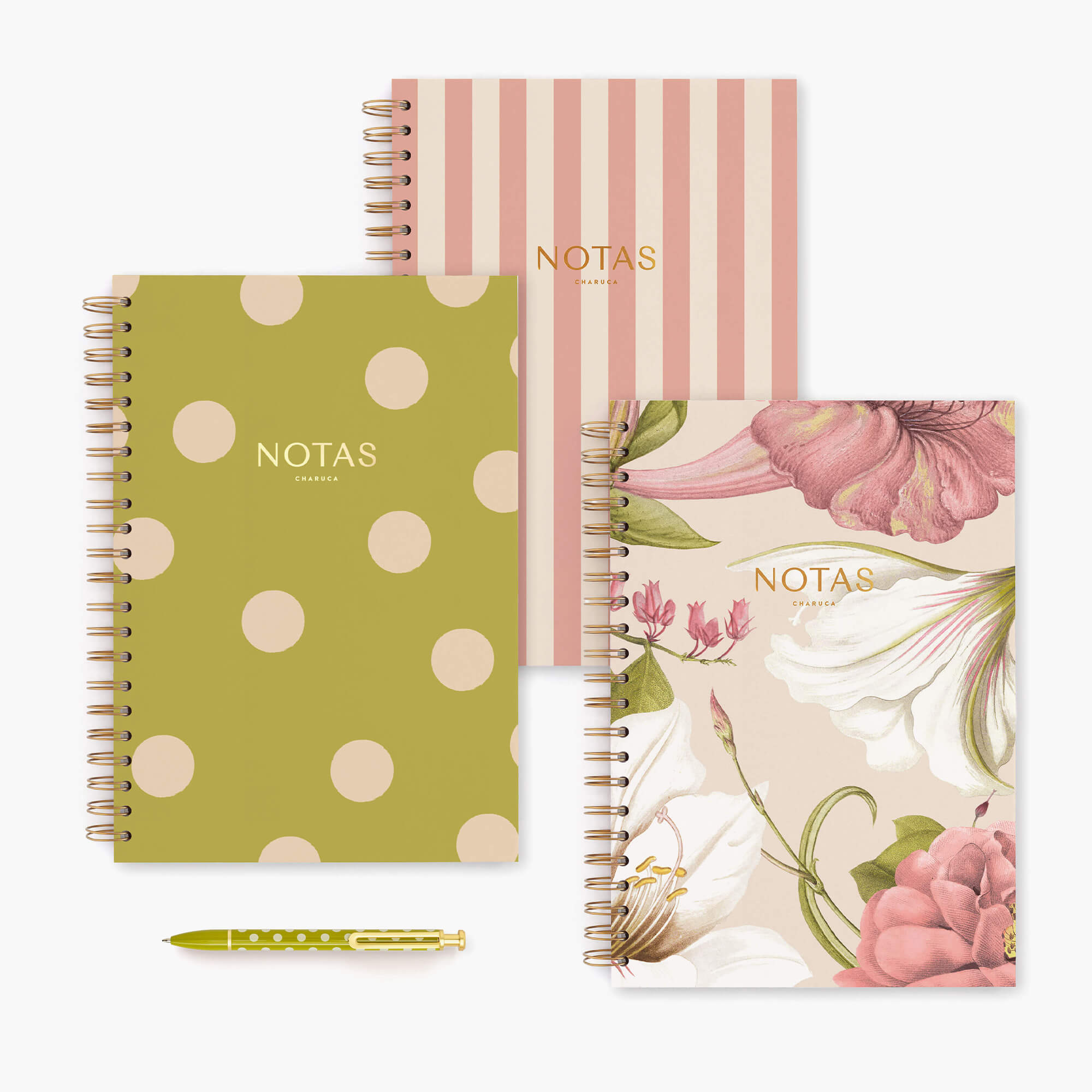 Pack de 3 cuadernos grandes.