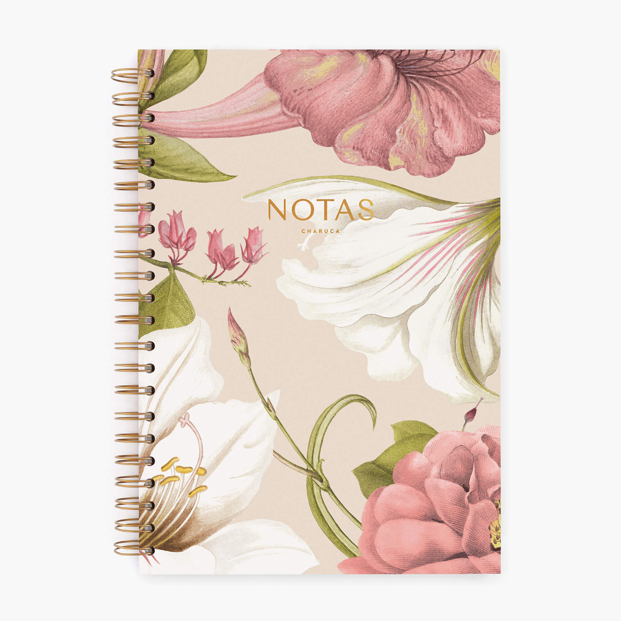 Cuaderno grande. Edén Ivory.