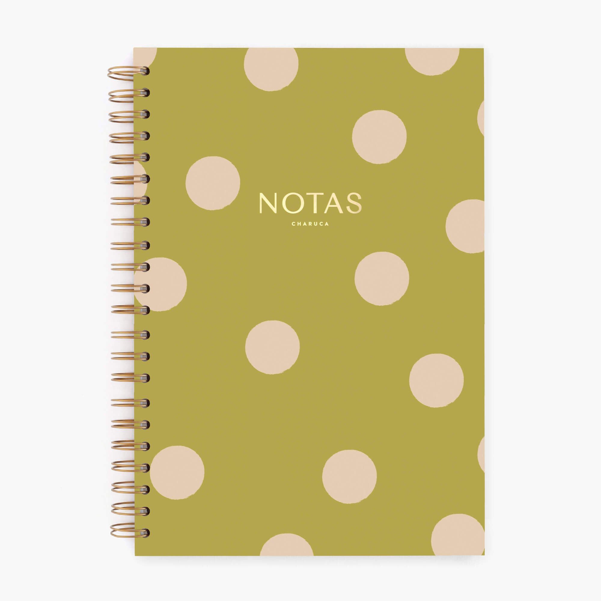 Cuaderno grande. Pistacho dream.