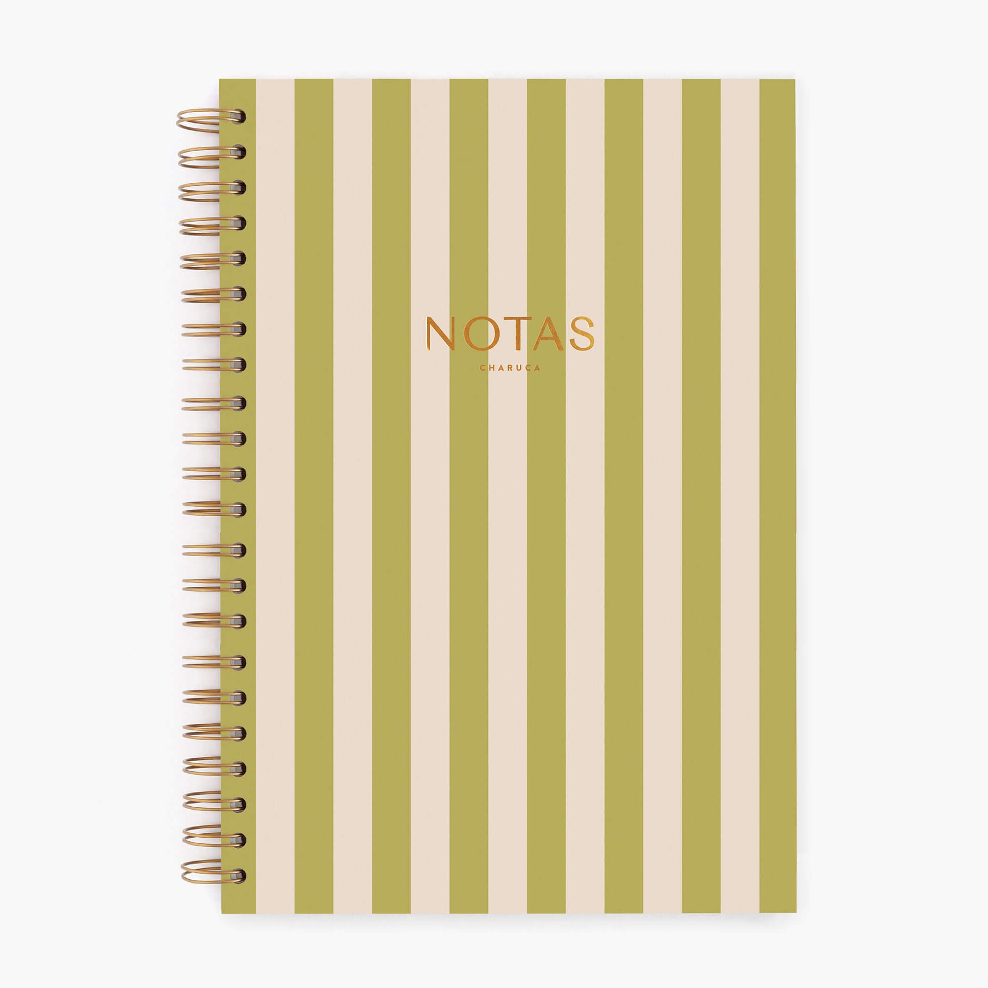 Cuaderno grande. Panamera Pistacho.