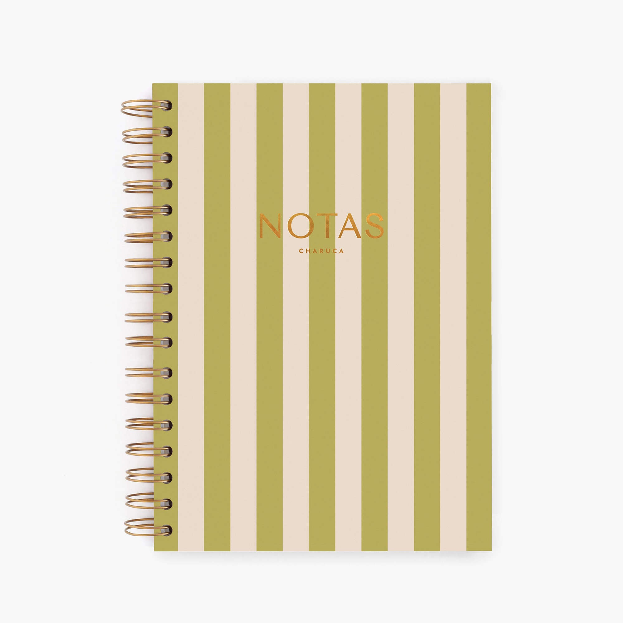 Cuaderno mediano. Panamera Pistacho.