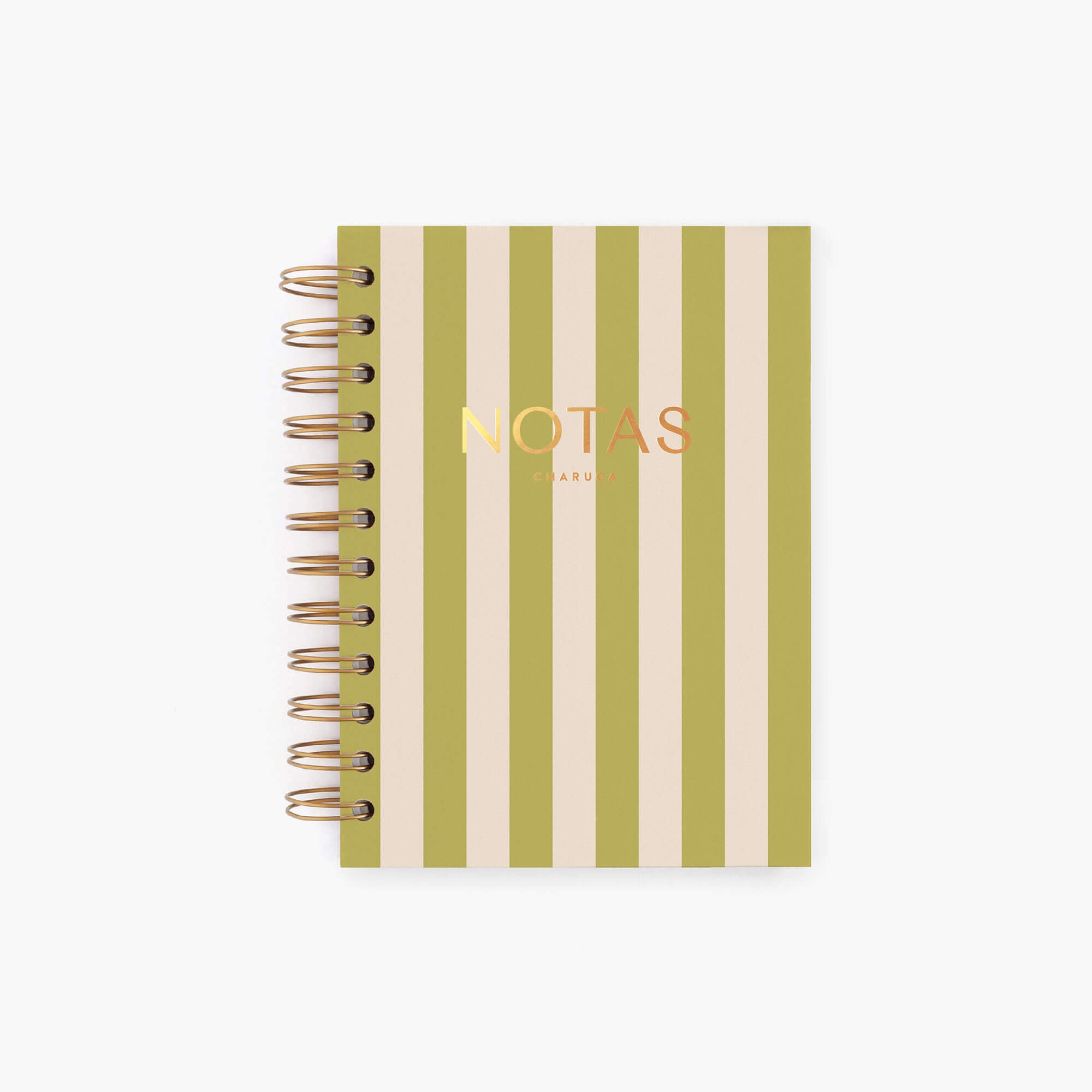 Cuaderno mini. Panamera Pistacho.