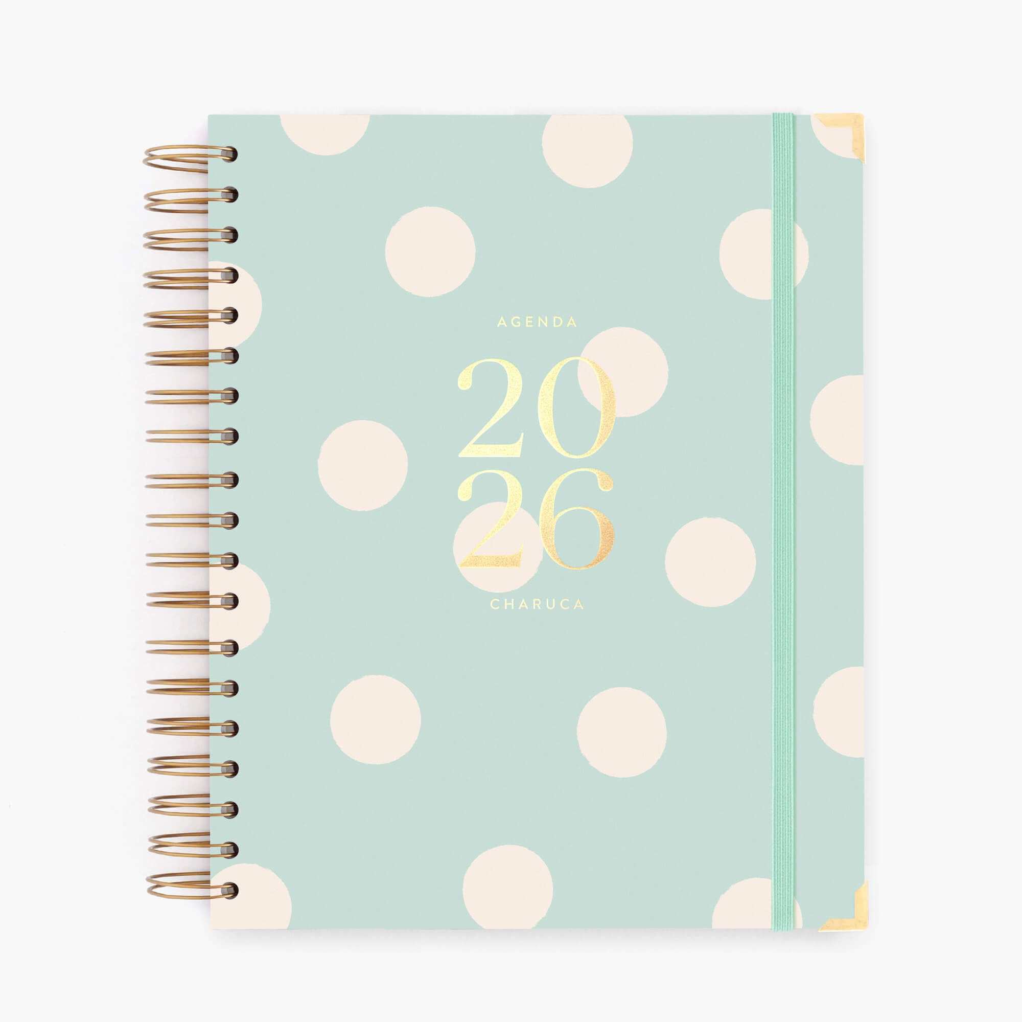 Agenda diaria 2026. Mint. Grande.