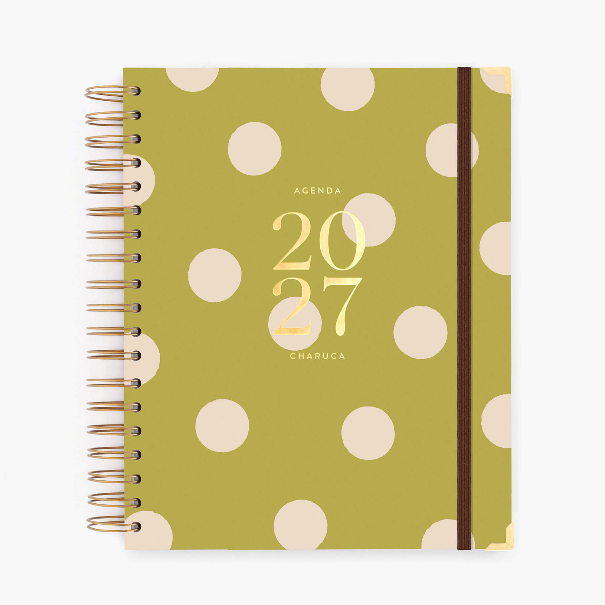 Agenda diaria 2027. Pistacho dream. Grande