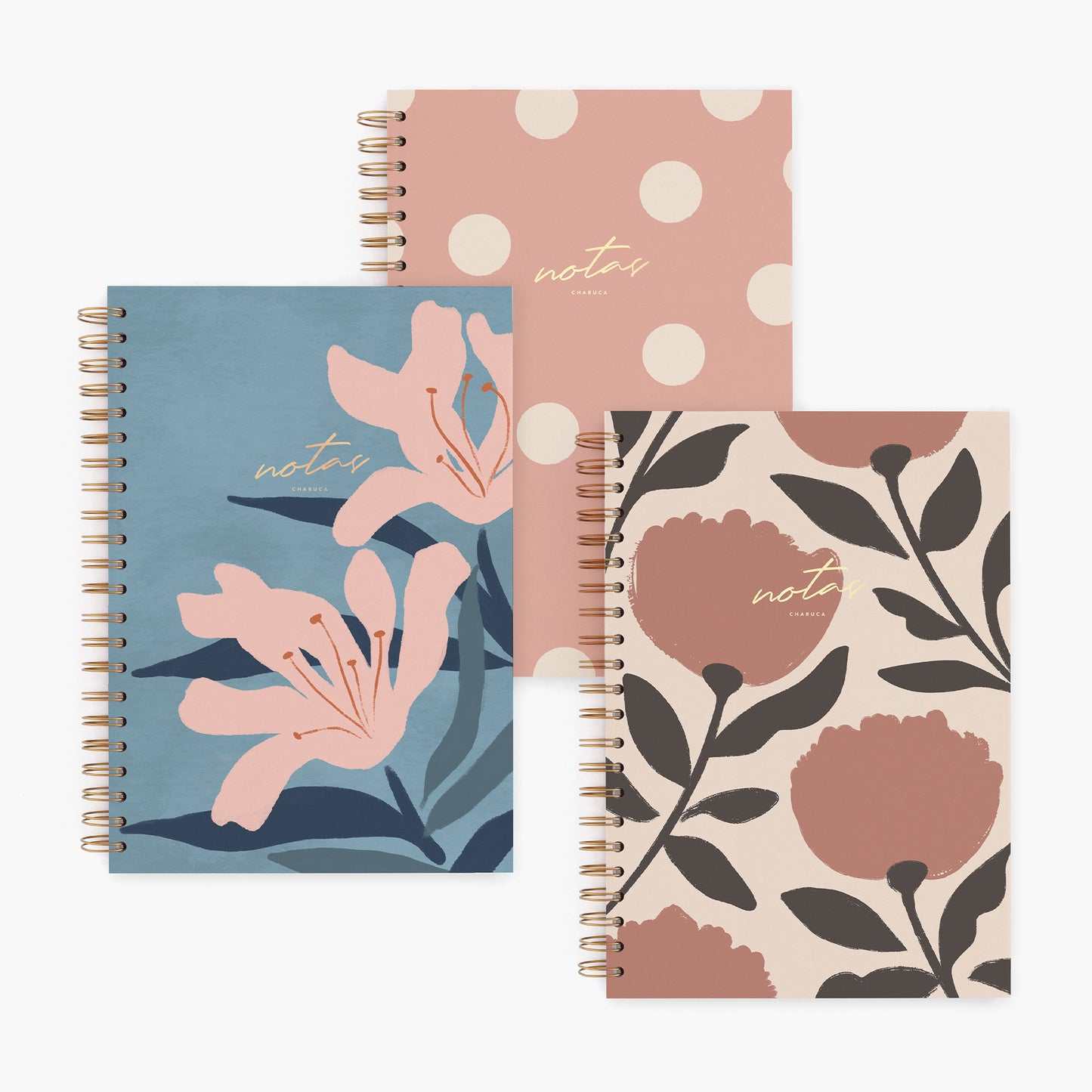 Pack de 3 cuadernos grandes.