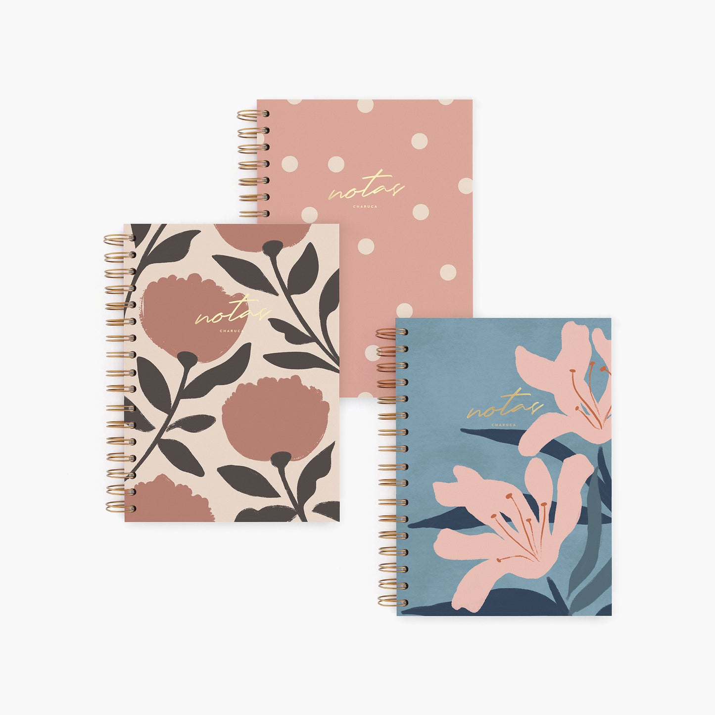 Pack de 3 cuadernos medianos.