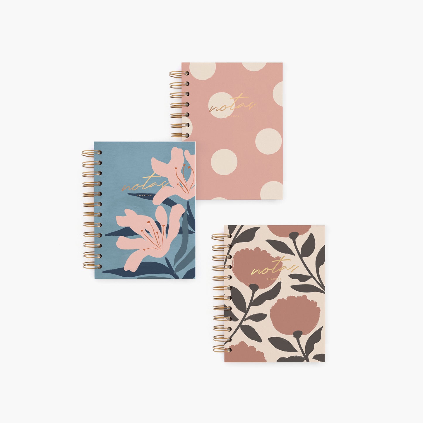 Pack de 3 cuadernos mini.