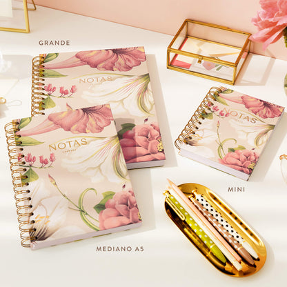 Pack de 3 cuadernos mix.