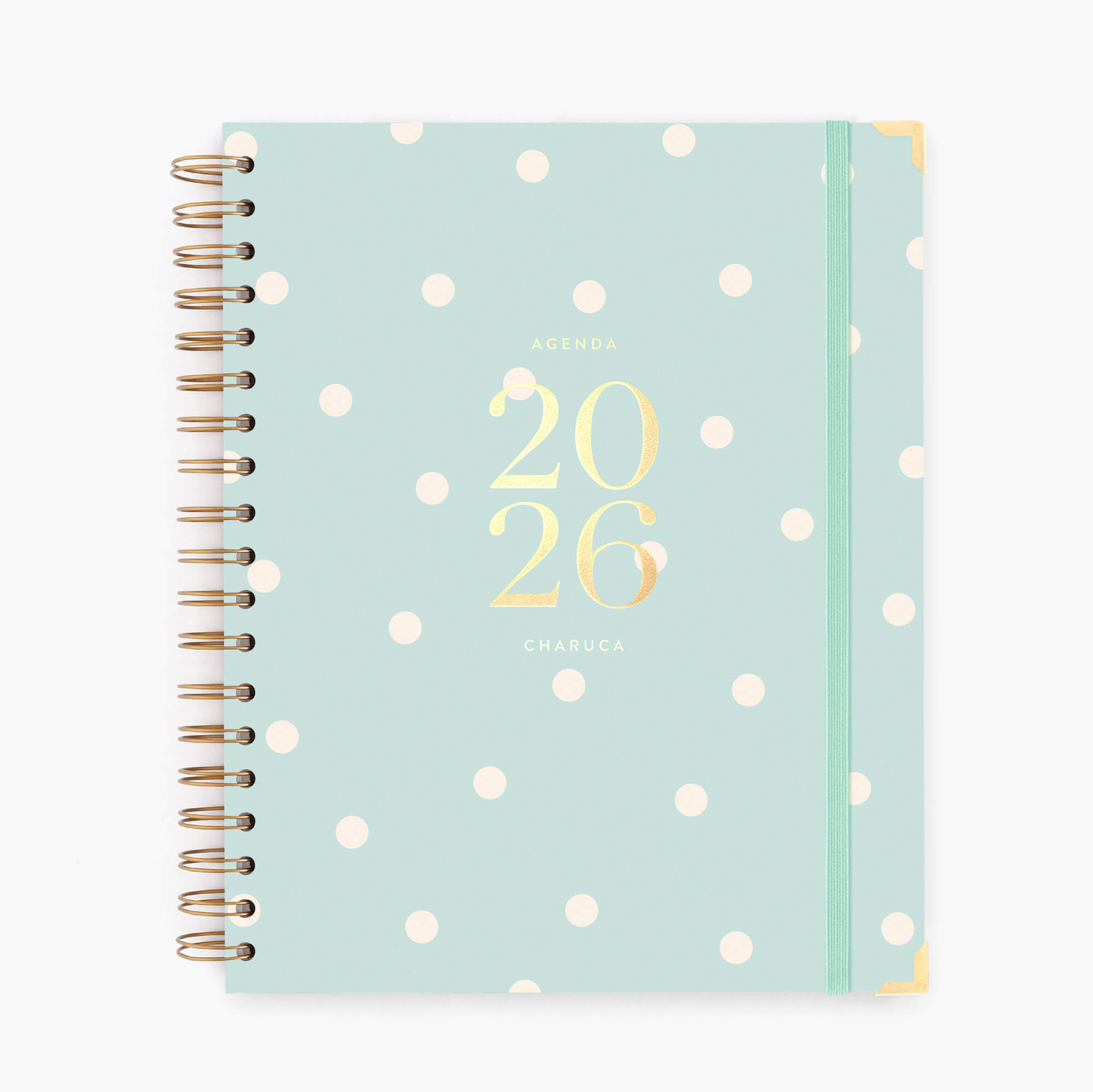 Agenda semanal 2026. Mint. Grande.