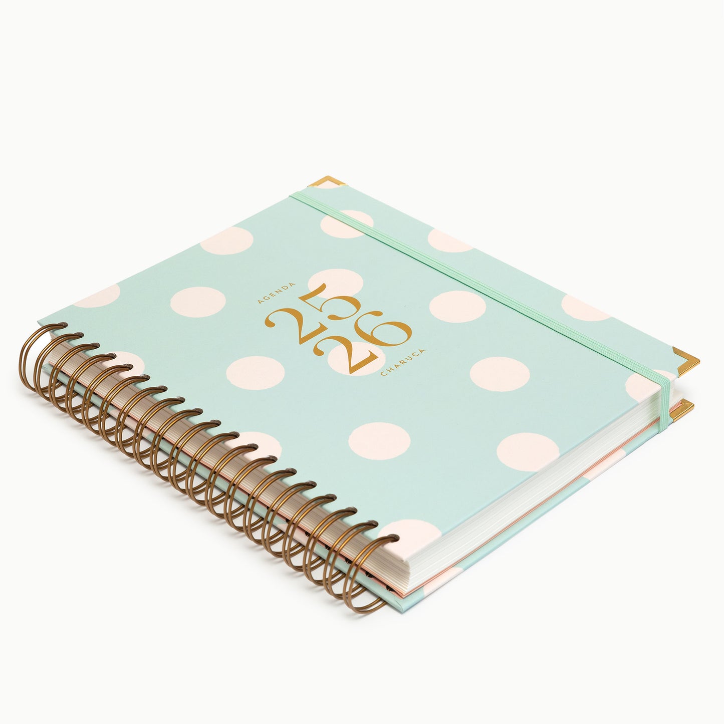 Agenda diaria 25-26. Mint. Grande.