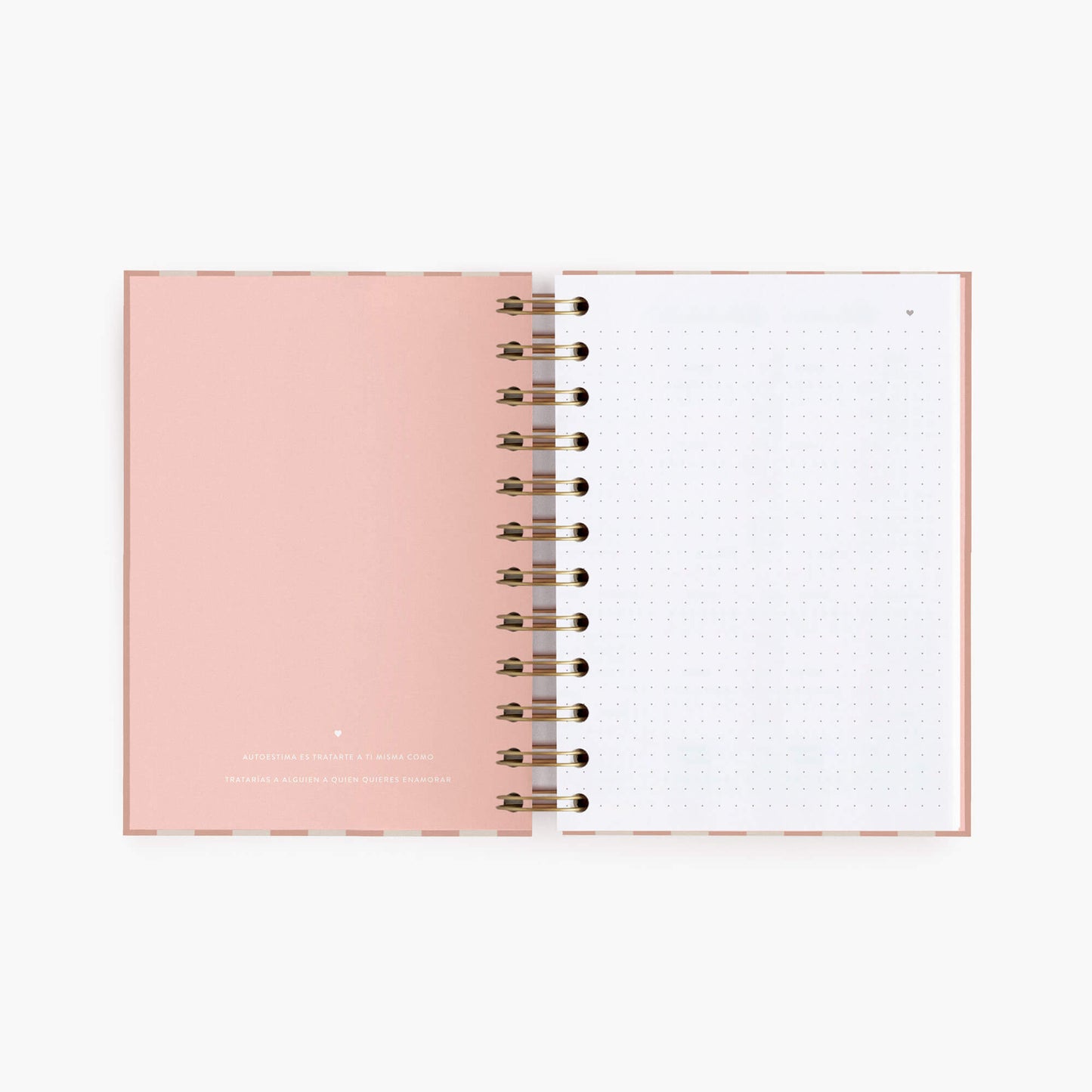 Cuaderno mini. Panamera Pink.