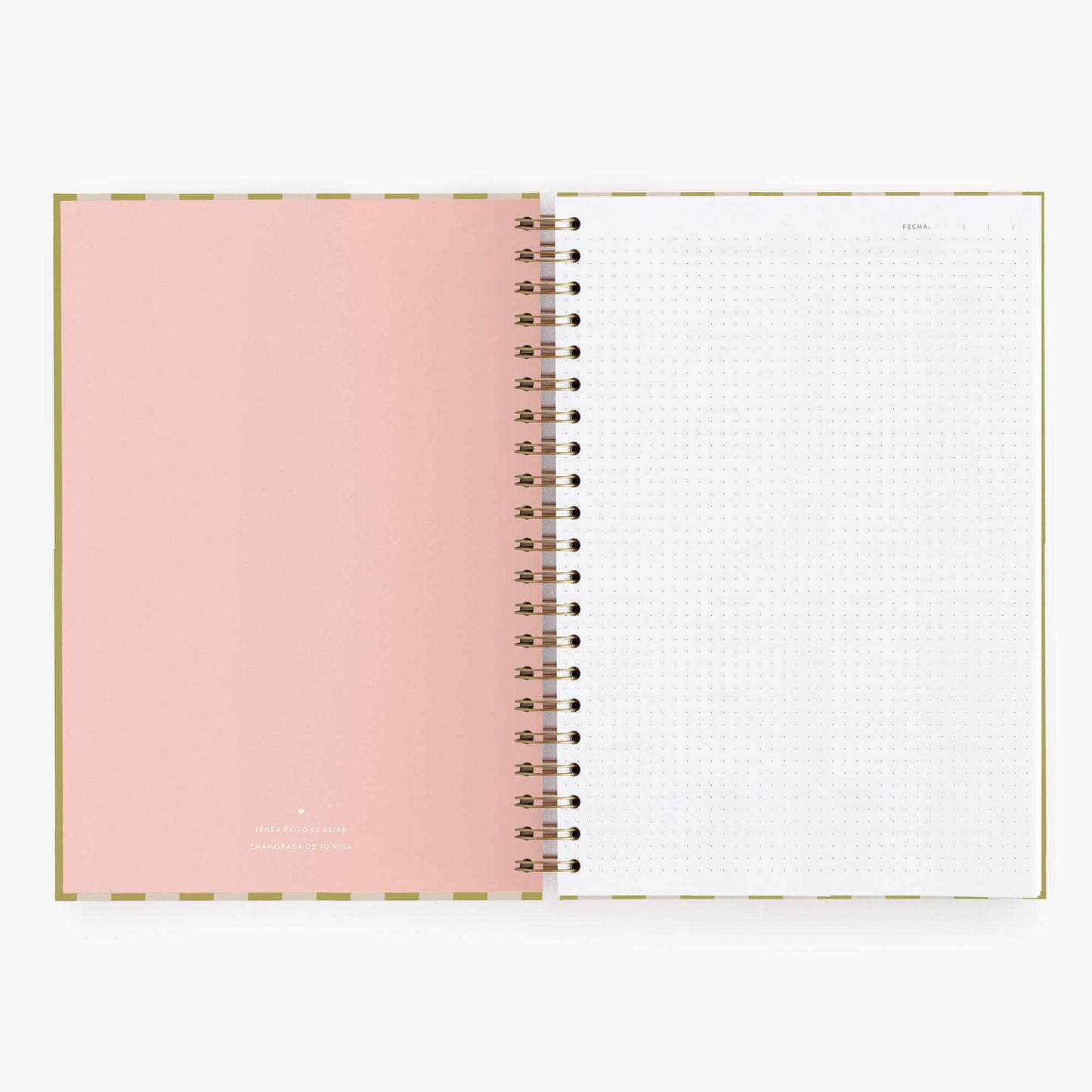 Cuaderno grande. Panamera Pistacho.