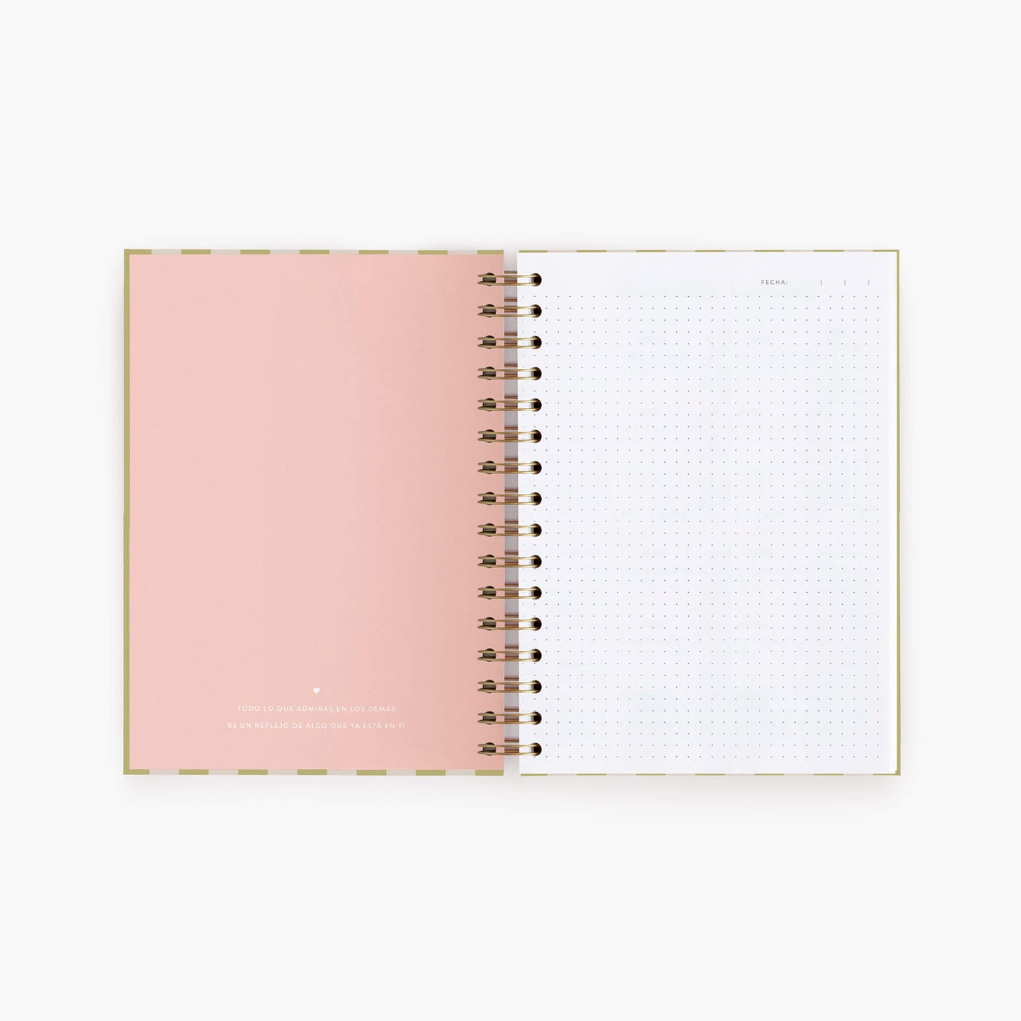 Cuaderno mediano. Panamera Pistacho.
