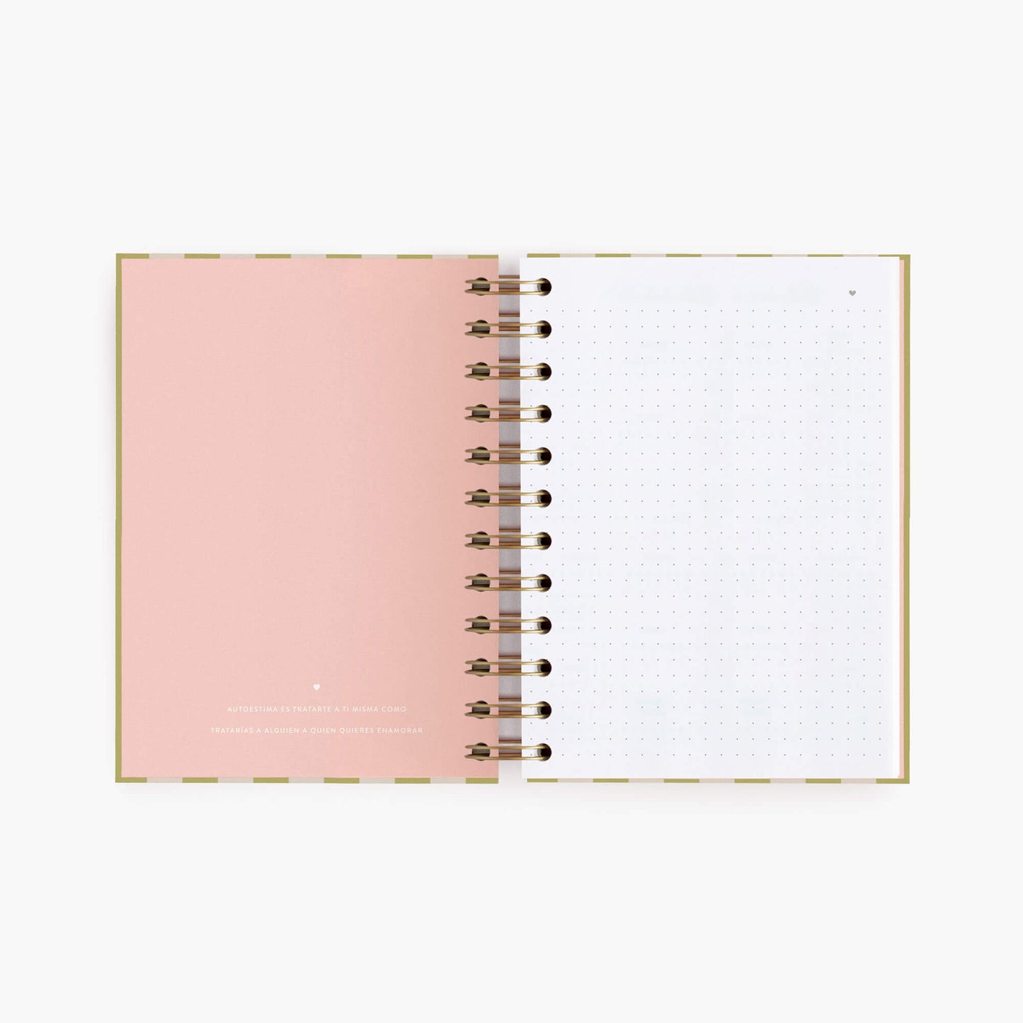 Cuaderno mini. Panamera Pistacho.