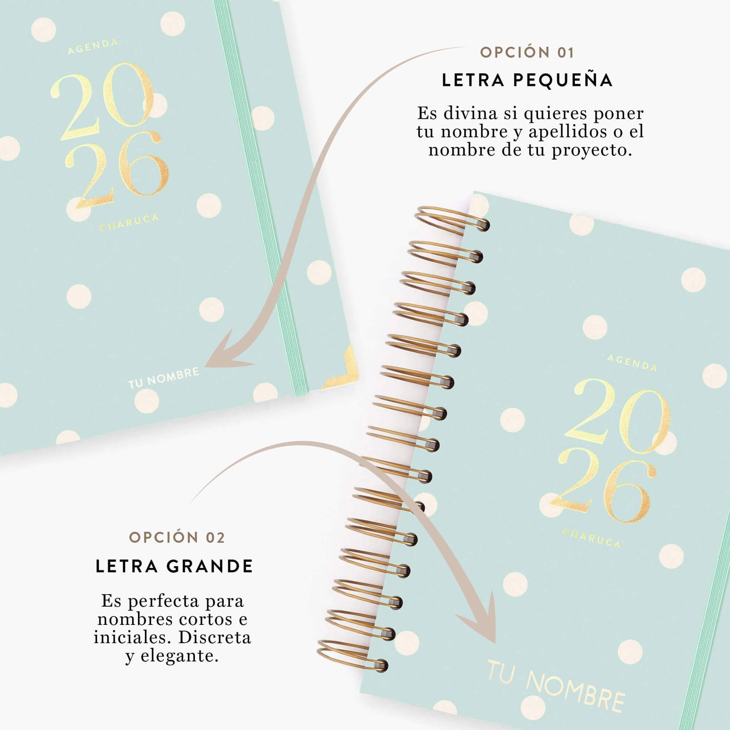 Agenda diaria 2026. Mint. Mediana.