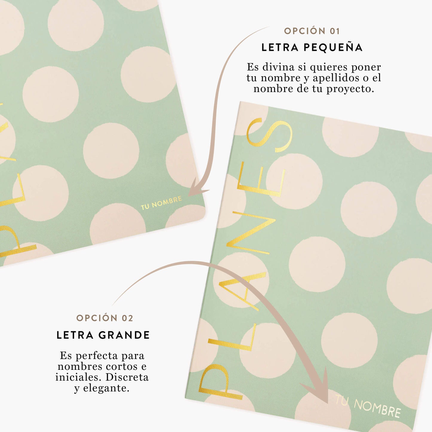 Planes. Planificador mensual ligero. Mint. Grande.