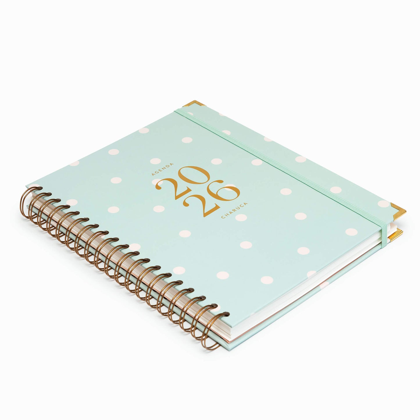 Agenda semanal 2026. Mint. Grande.