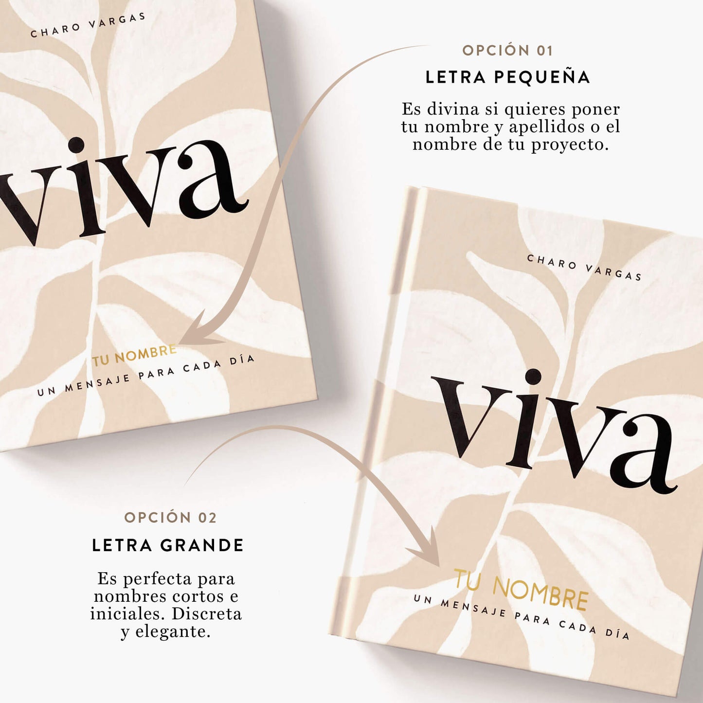 Libro. VIVA. Un mensaje para cada día.