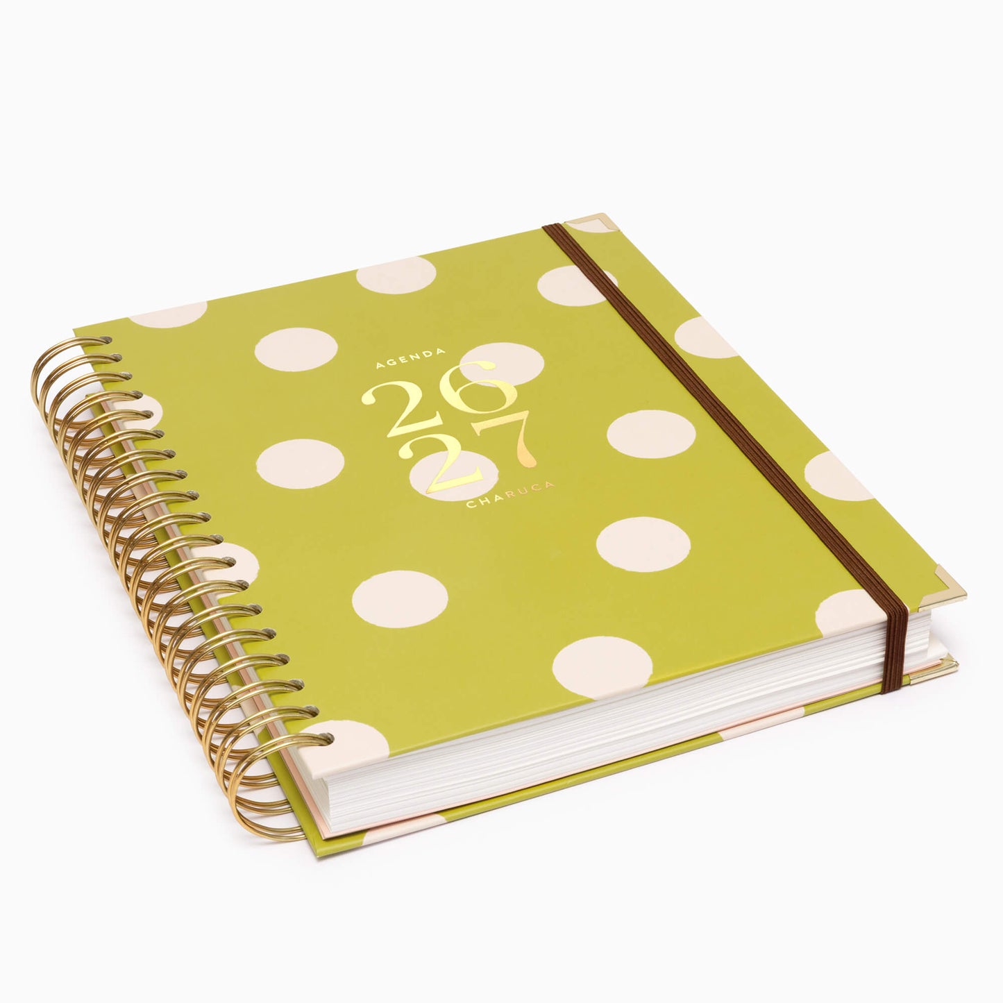 Agenda diaria 26-27. Pistacho dream. Grande.