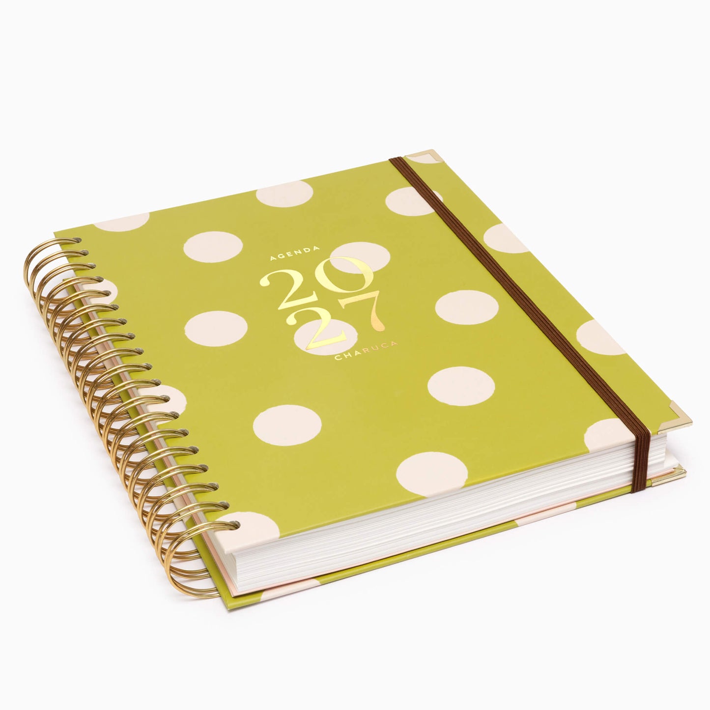 Agenda diaria 2027. Pistacho dream. Grande