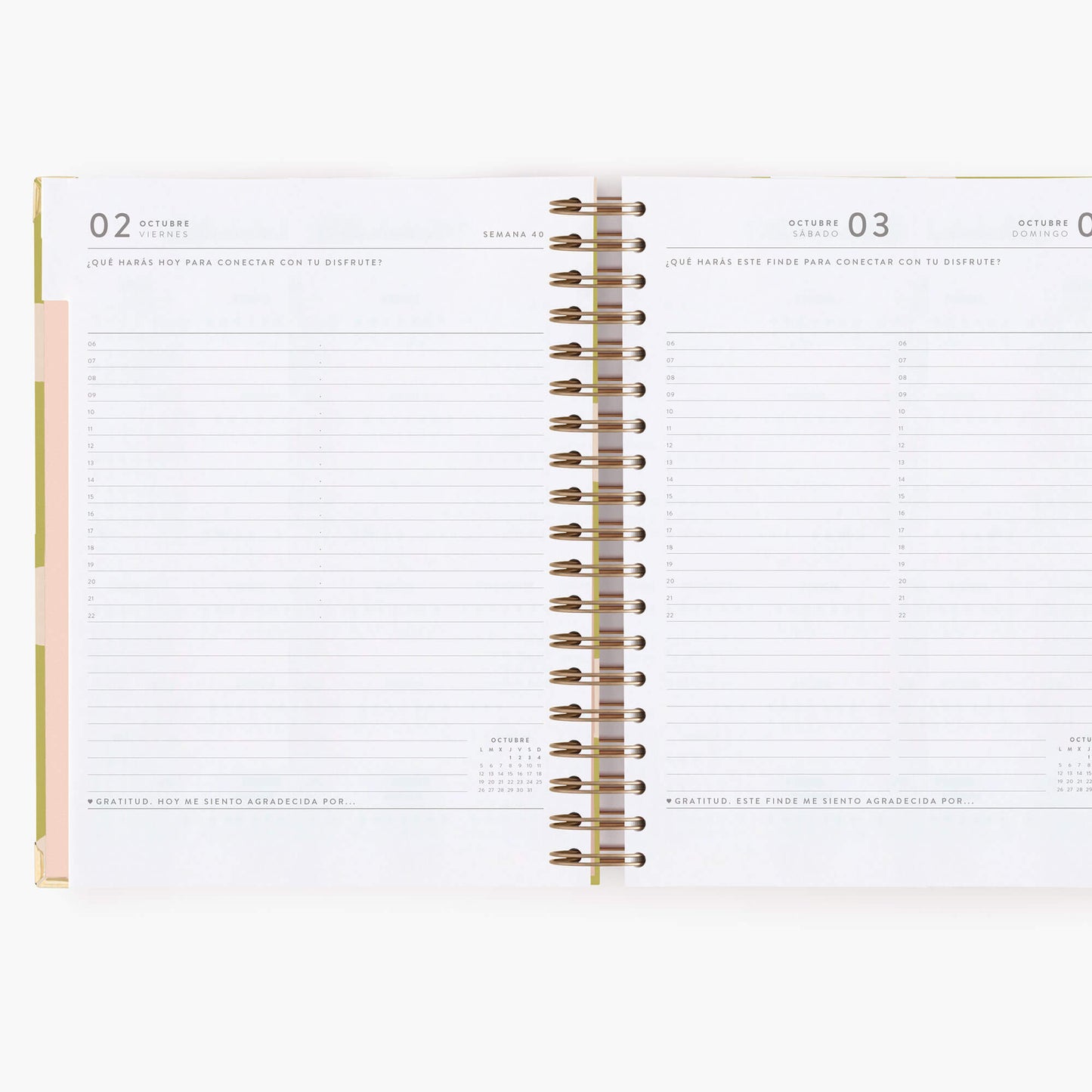 Agenda diaria 26-27. Pistacho dream. Grande.