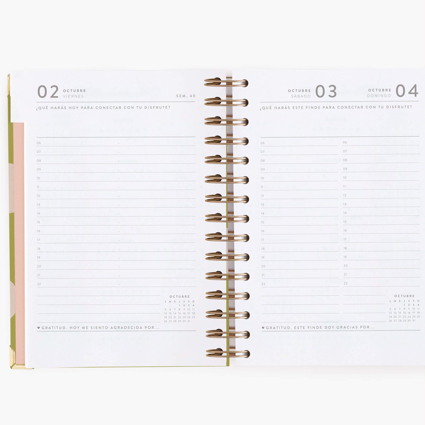 Agenda diaria 26-27. Pistacho dream. Mediana.