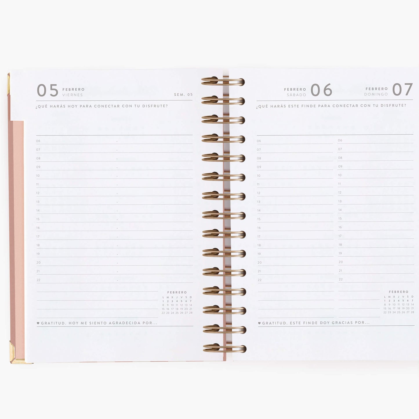 Agenda diaria 2027. Panamera Pink. Mediana