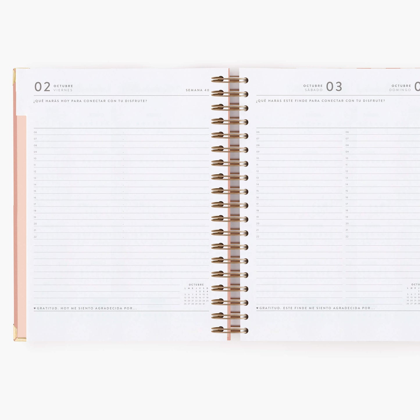 Agenda diaria 26-27. Panamera. Grande.