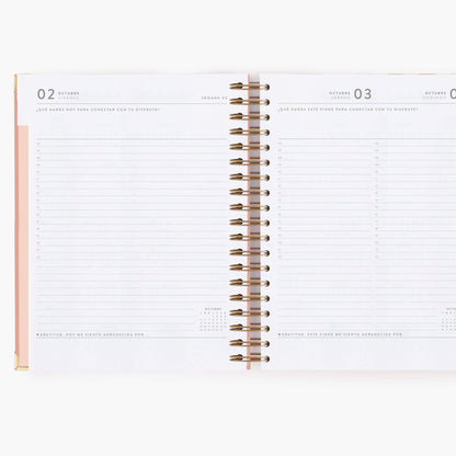 Agenda diaria 26-27. Panamera. Grande.