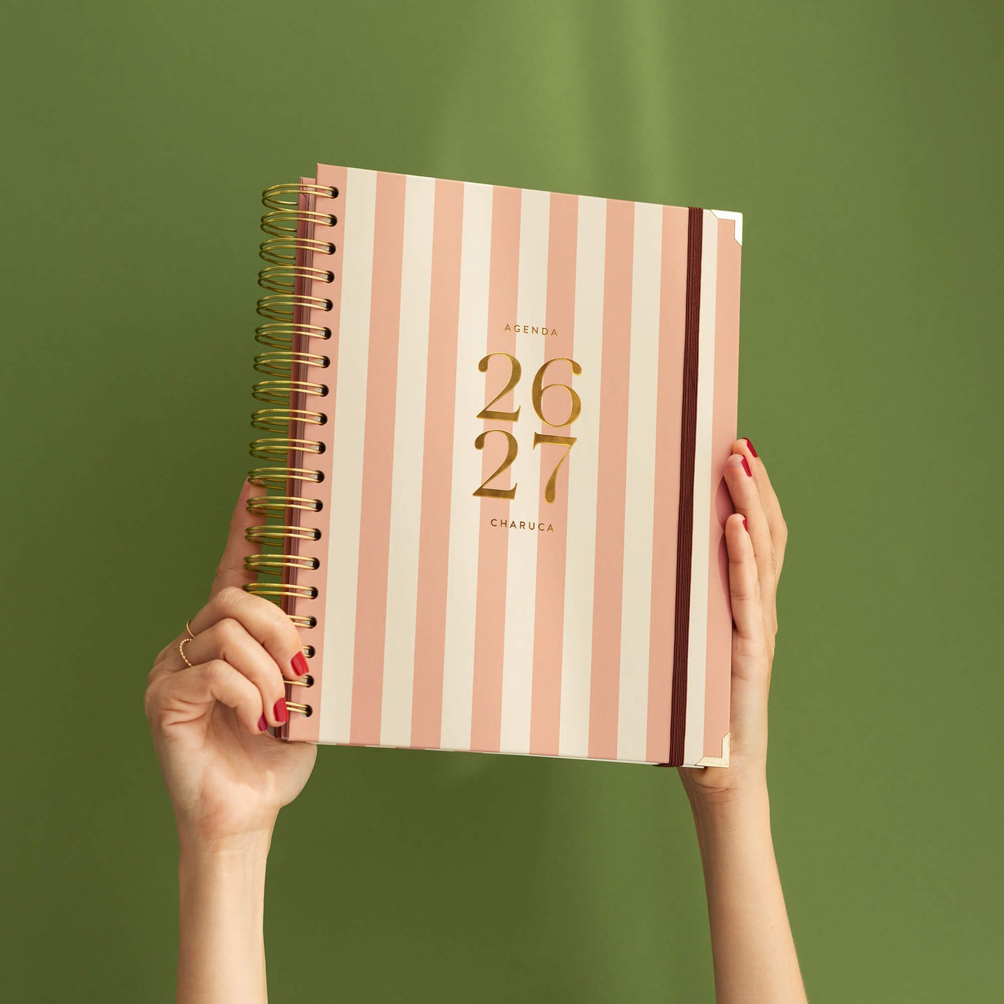 Agenda diaria 26-27. Panamera. Grande.