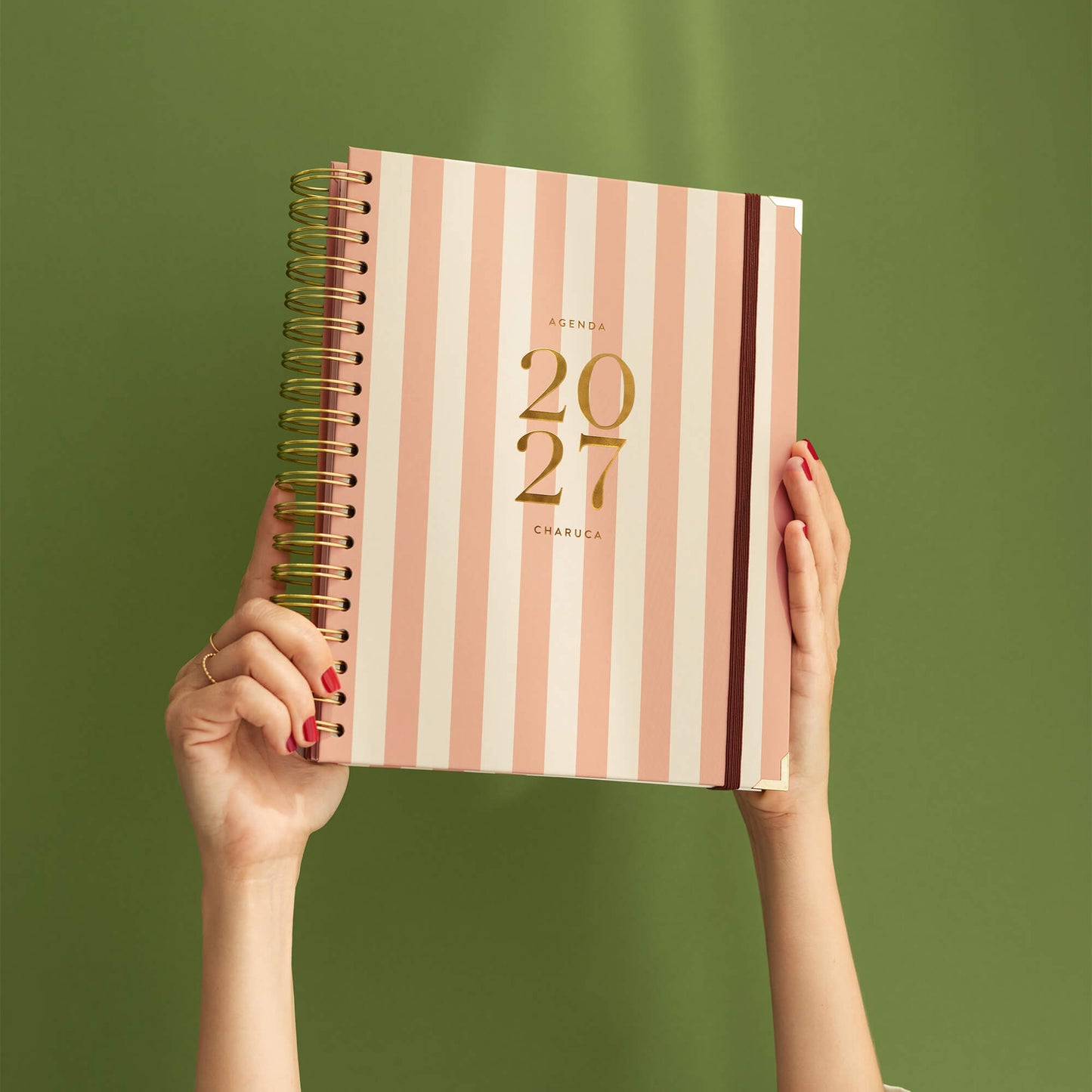Agenda diaria 2027. Panamera Pink. Grande