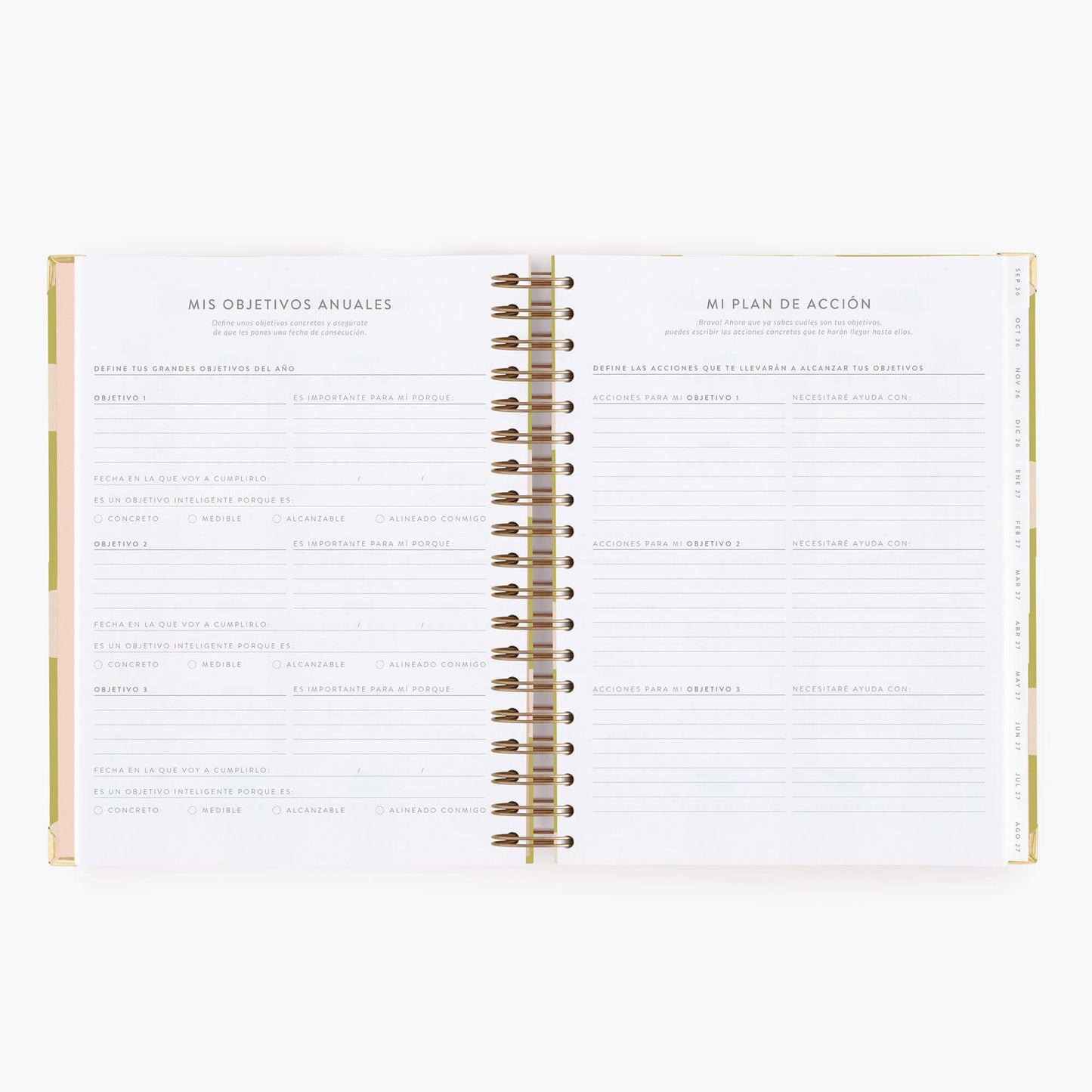 Agenda diaria 26-27. Pistacho dream. Grande.