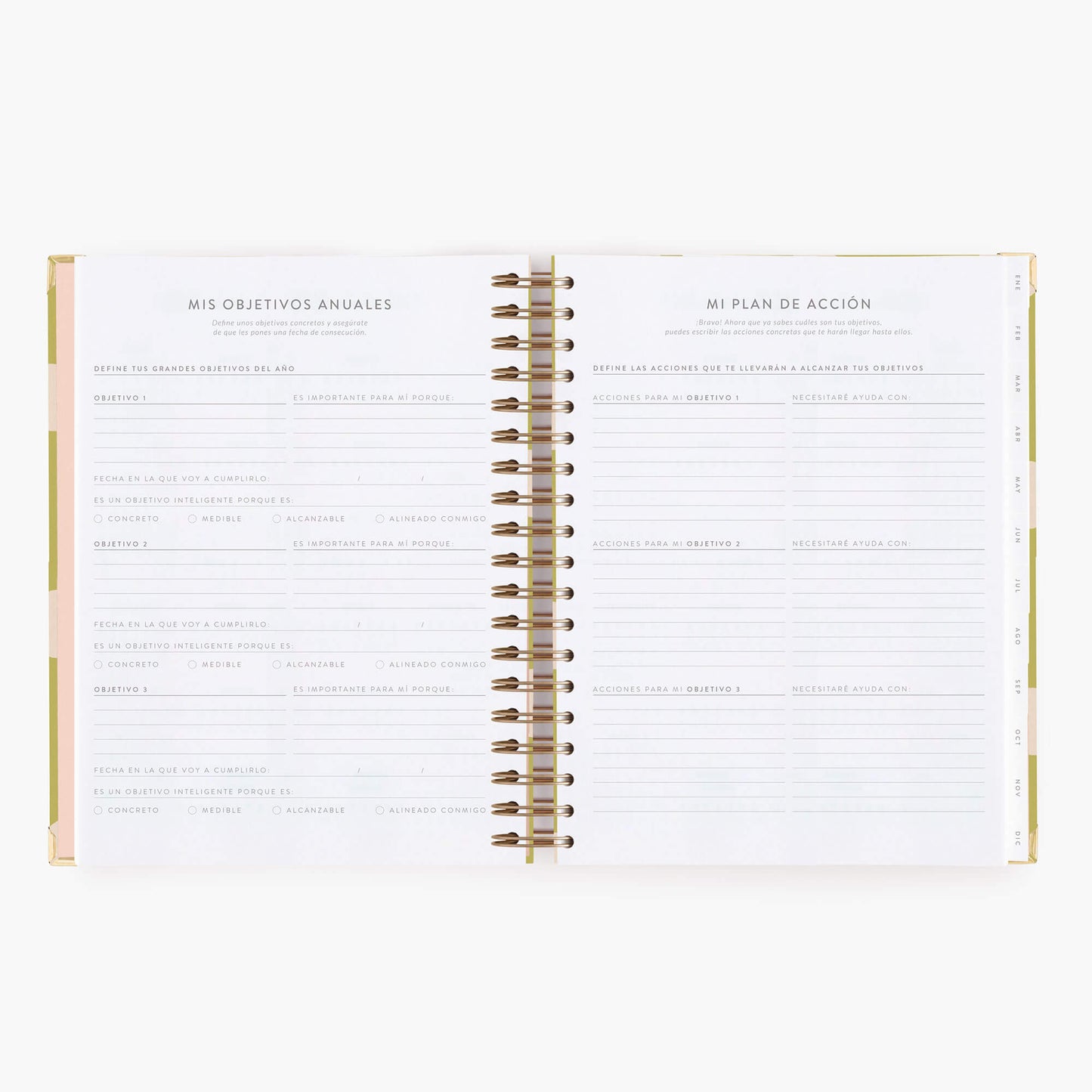 Agenda diaria 2027. Pistacho dream. Grande
