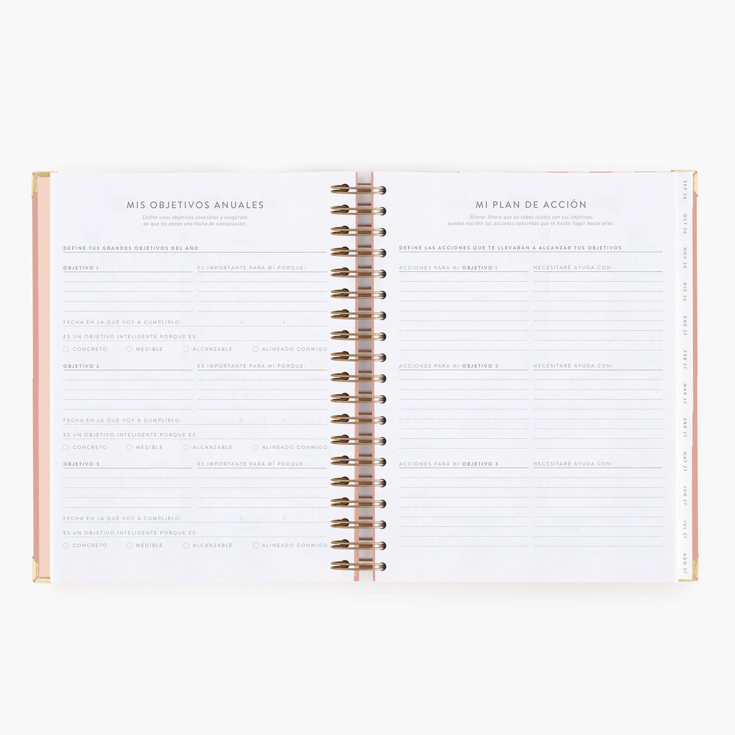 Agenda diaria 26-27. Panamera. Grande.