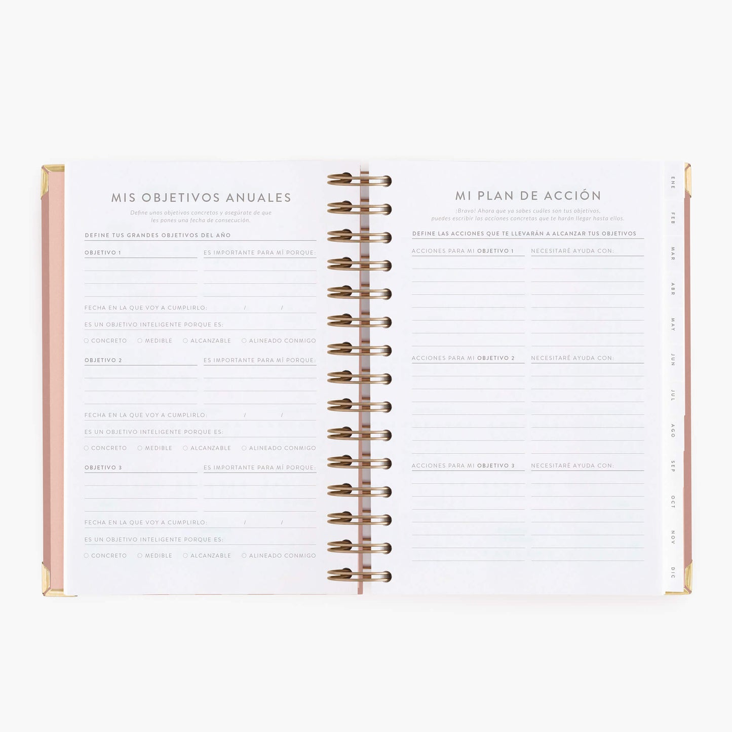 Agenda diaria 2027. Panamera Pink. Mediana
